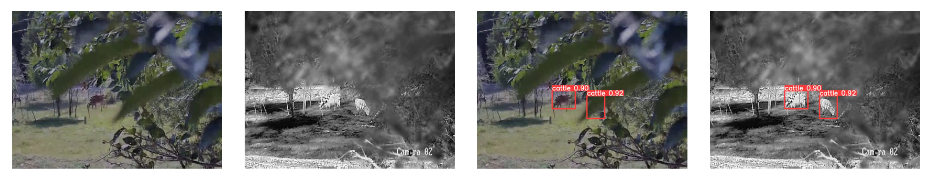 Agriculture 16 00035 g012a Agriculture 16 00035 g012a