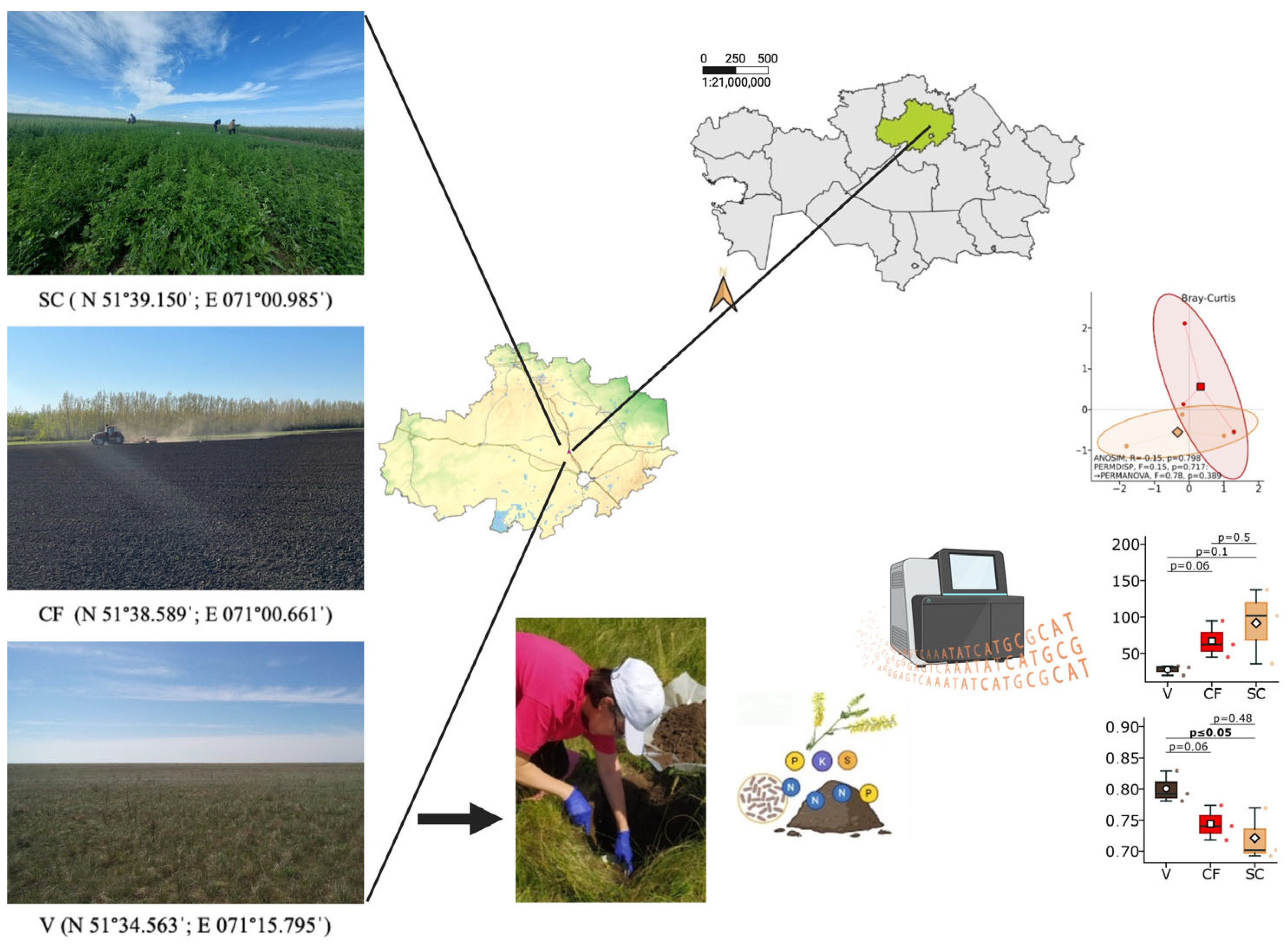 Agriculture 16 00036 g001