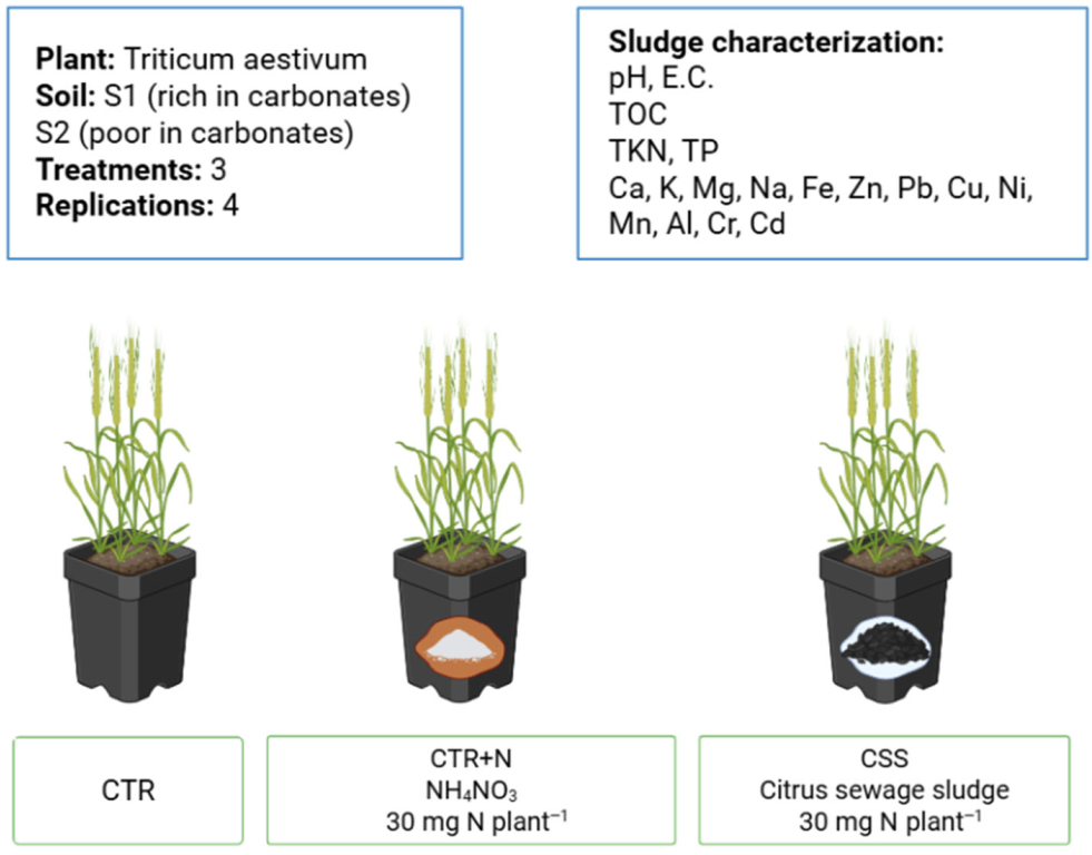 Agriculture 16 00037 g001