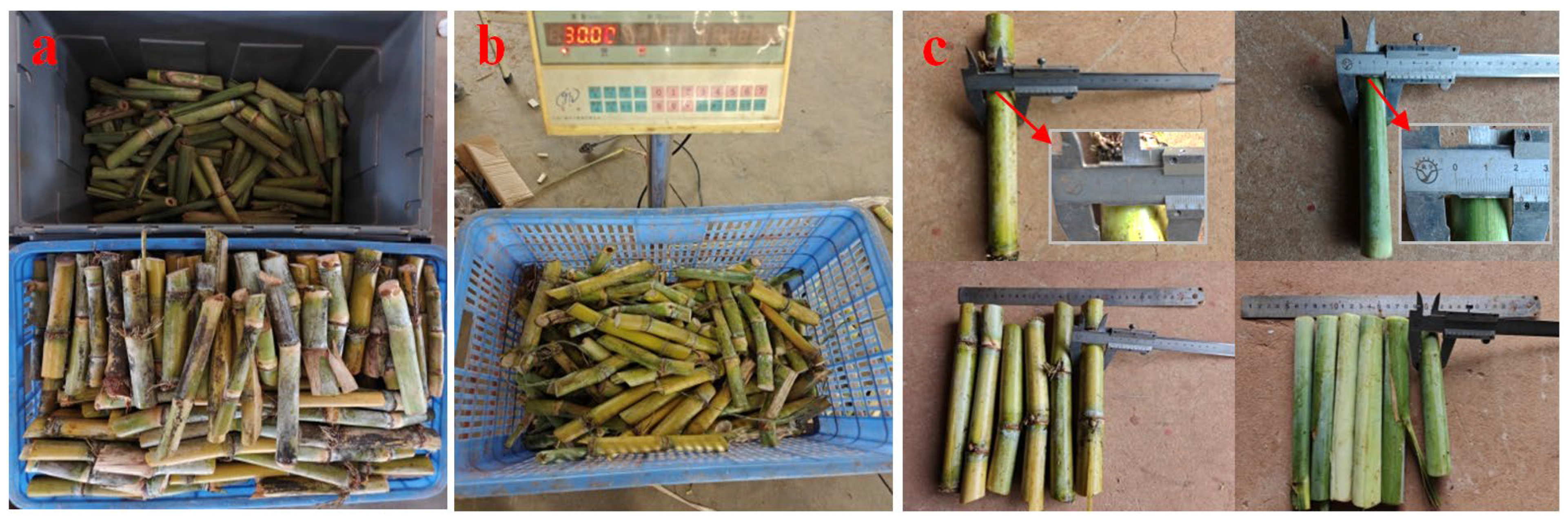 Agriculture 16 00045 g002