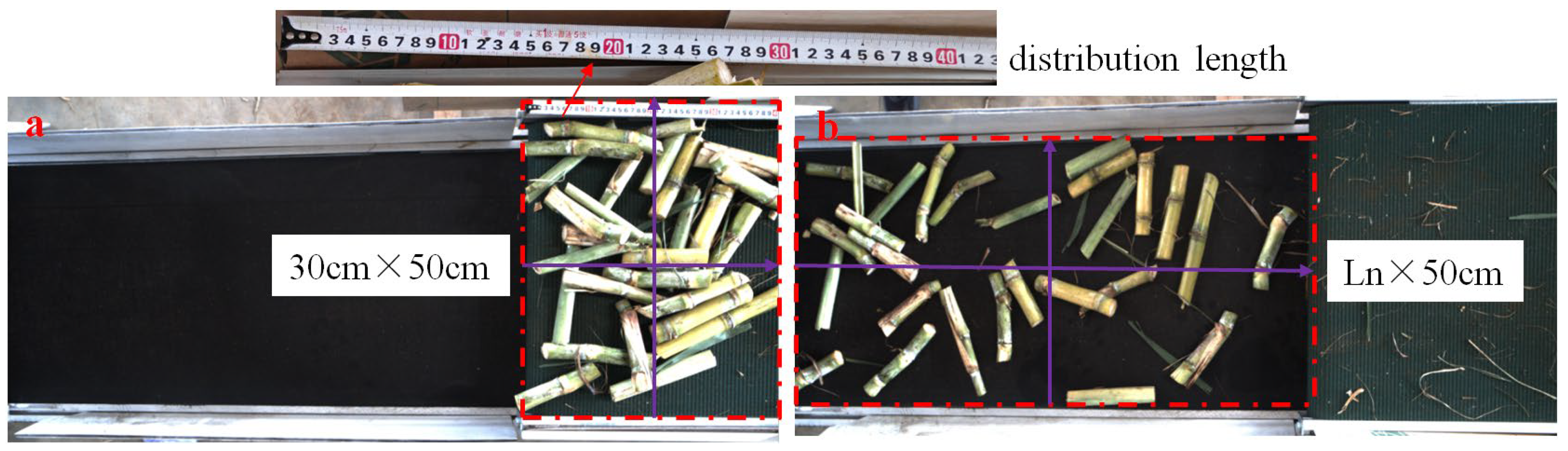 Agriculture 16 00045 g007