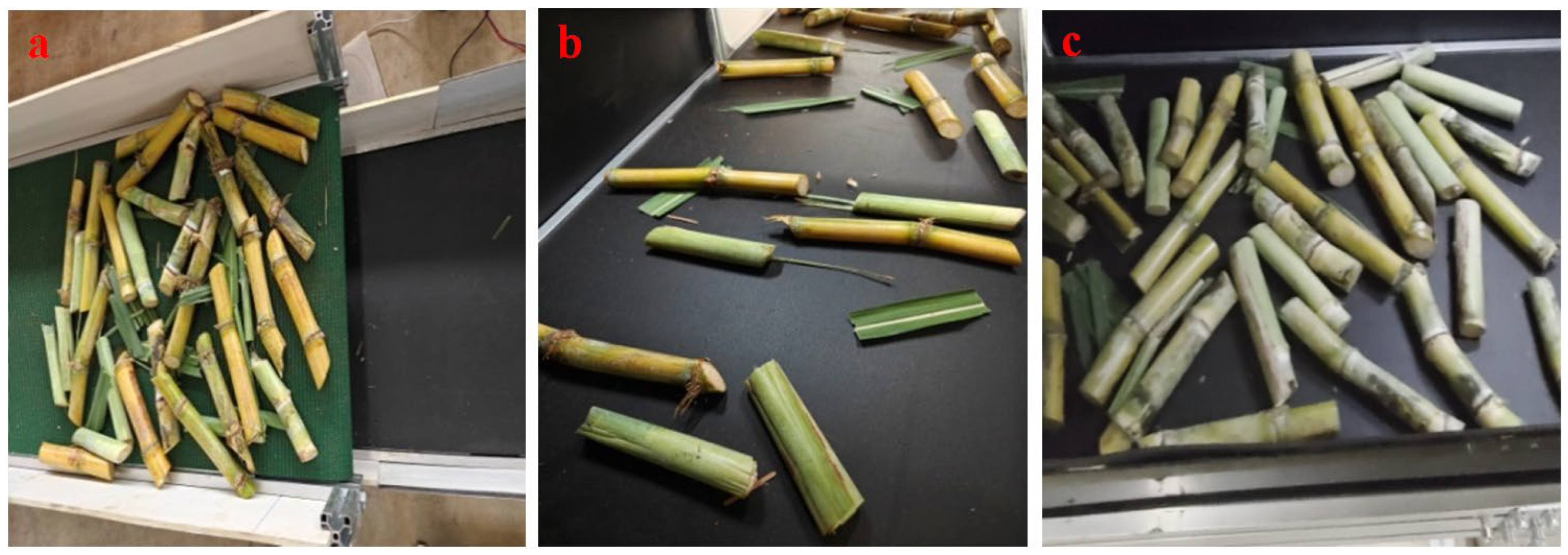 Agriculture 16 00045 g012