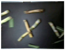 Agriculture 16 00045 i001