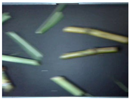 Agriculture 16 00045 i007