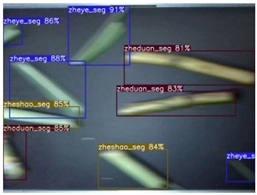 Agriculture 16 00045 i008