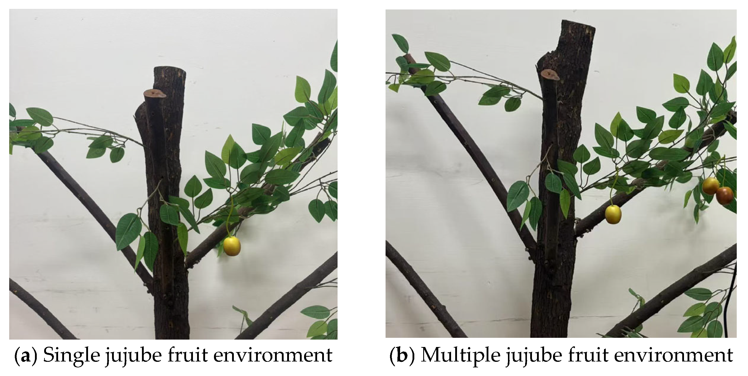 Agriculture 16 00047 g011