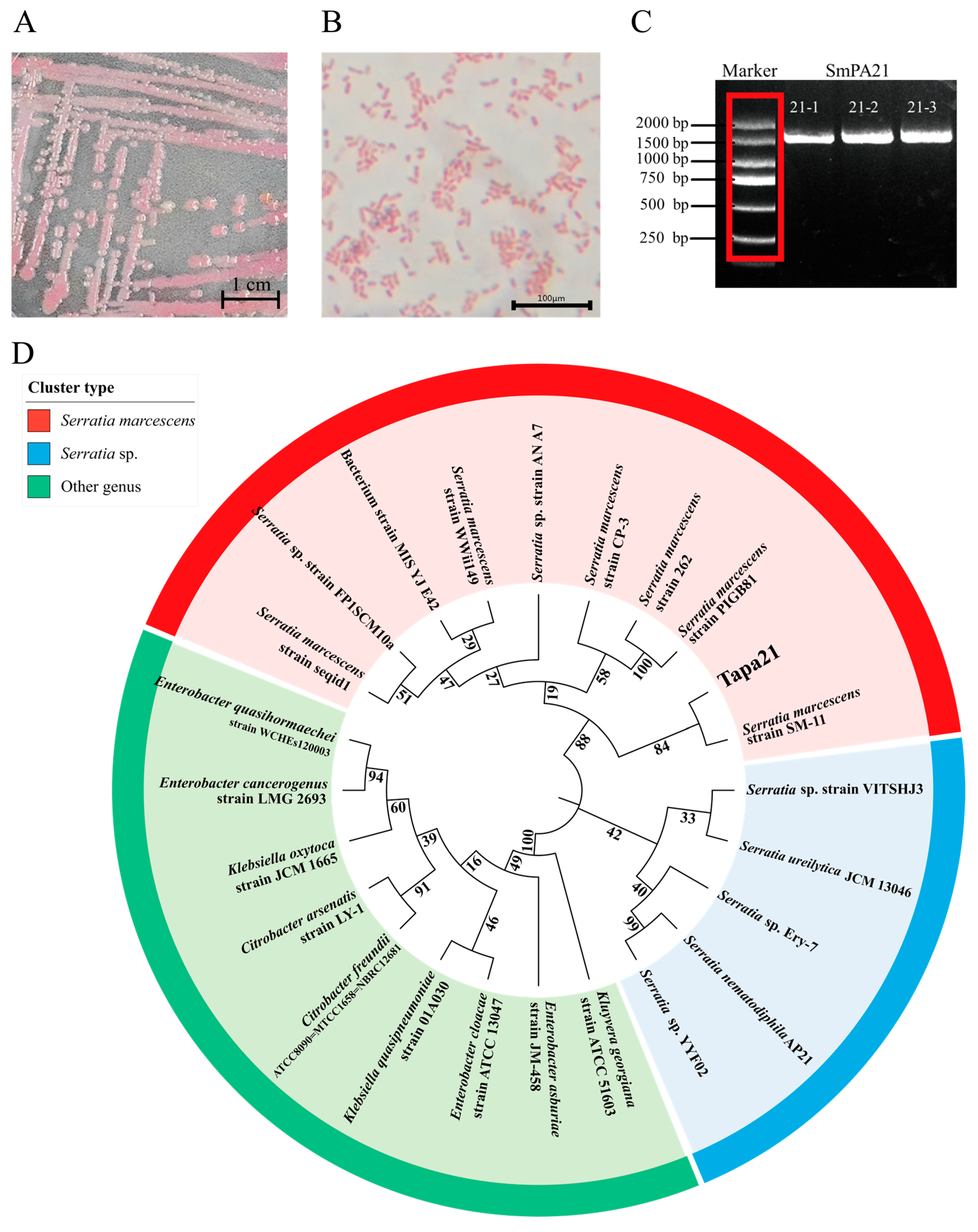 Agriculture 16 00048 g002