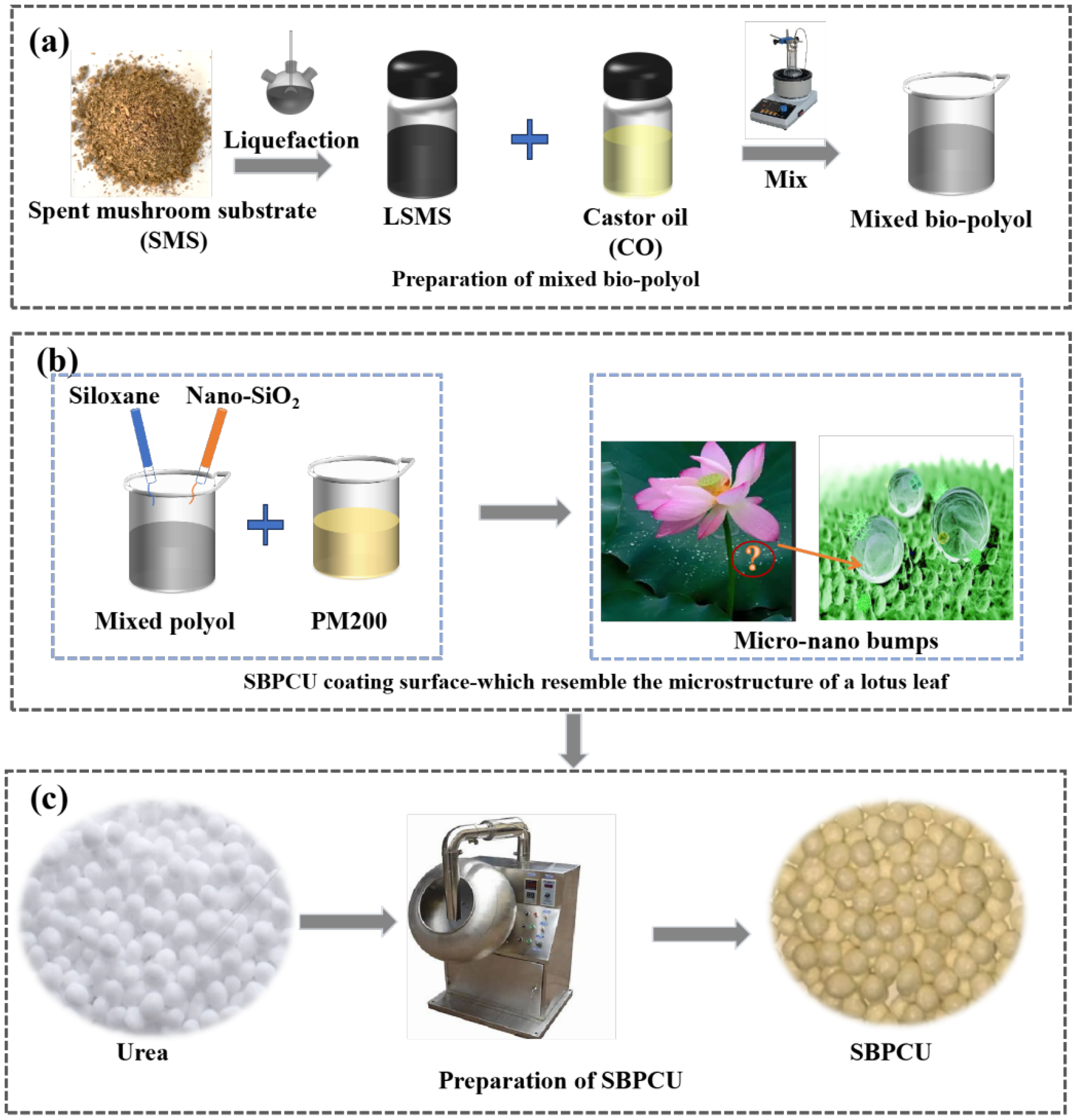 Agriculture 16 00076 g001