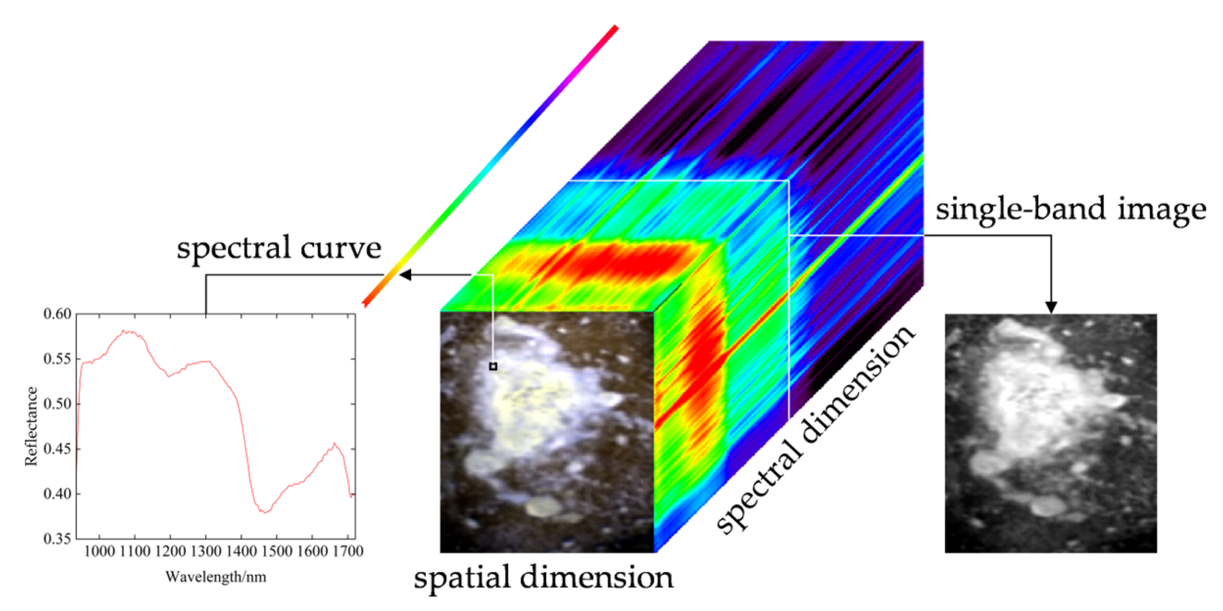 Agriculture 16 00077 g003