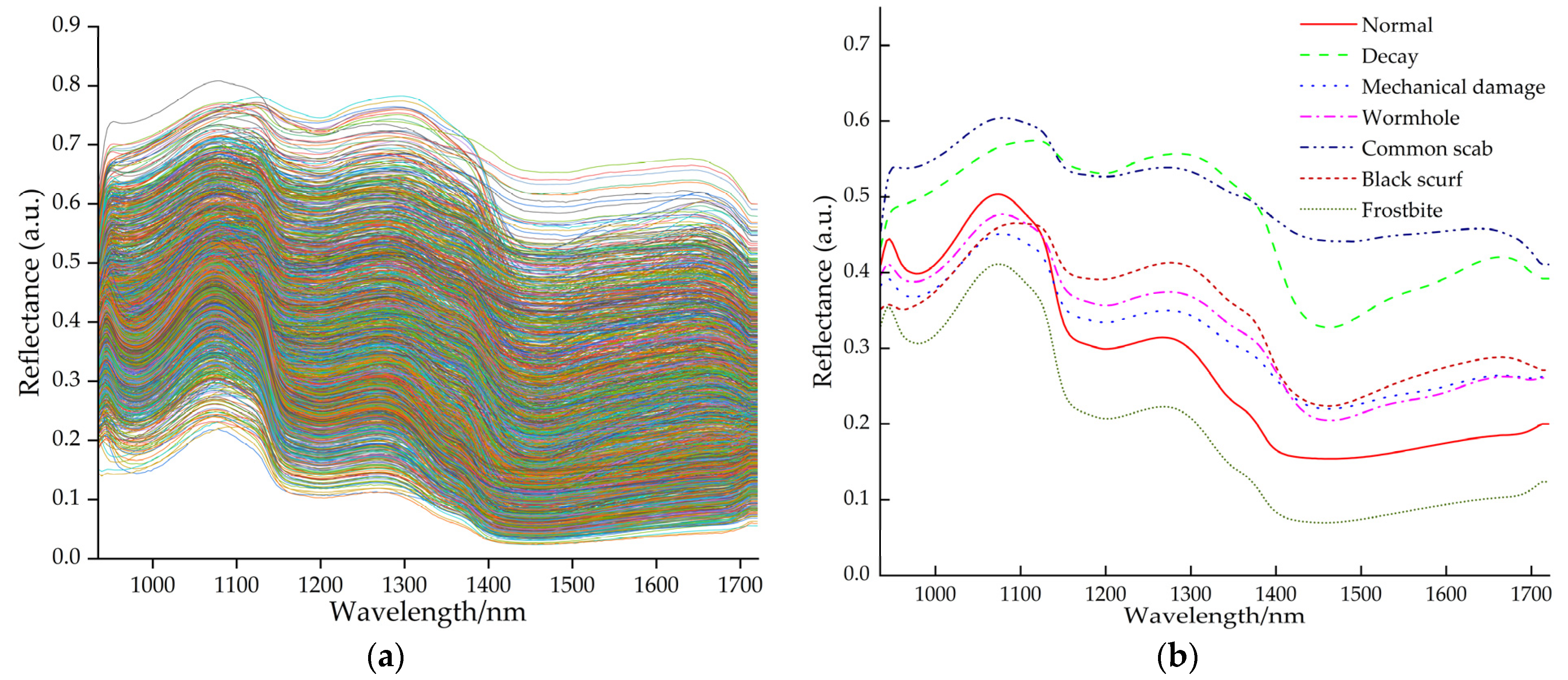 Agriculture 16 00077 g005