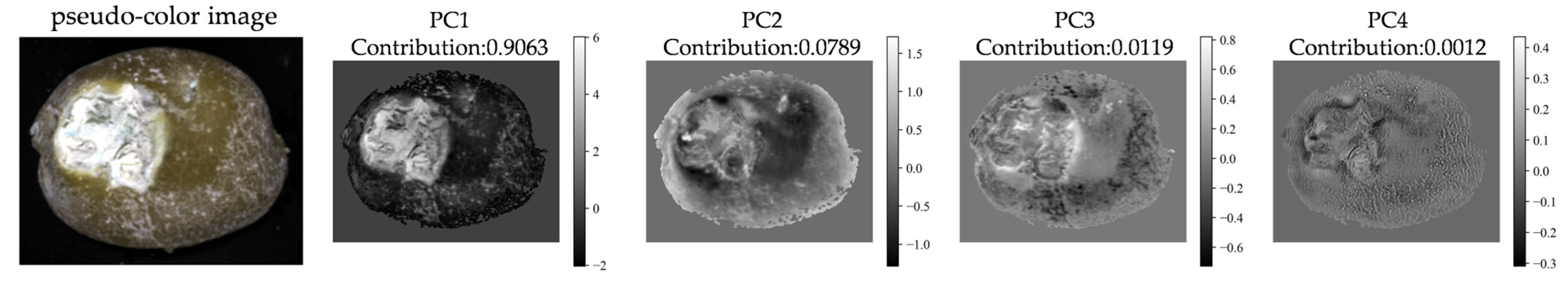 Agriculture 16 00077 g006