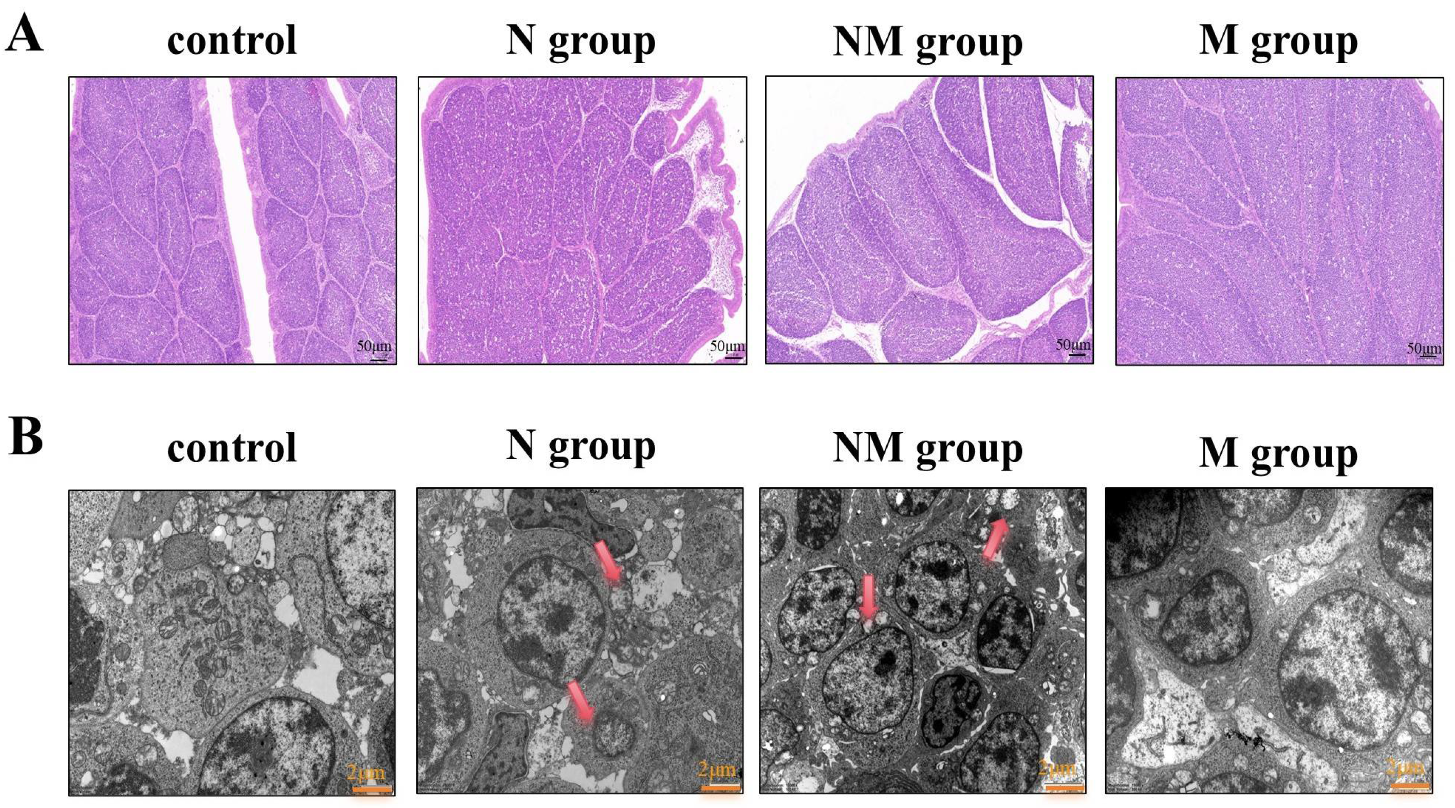 Agriculture 16 00078 g001