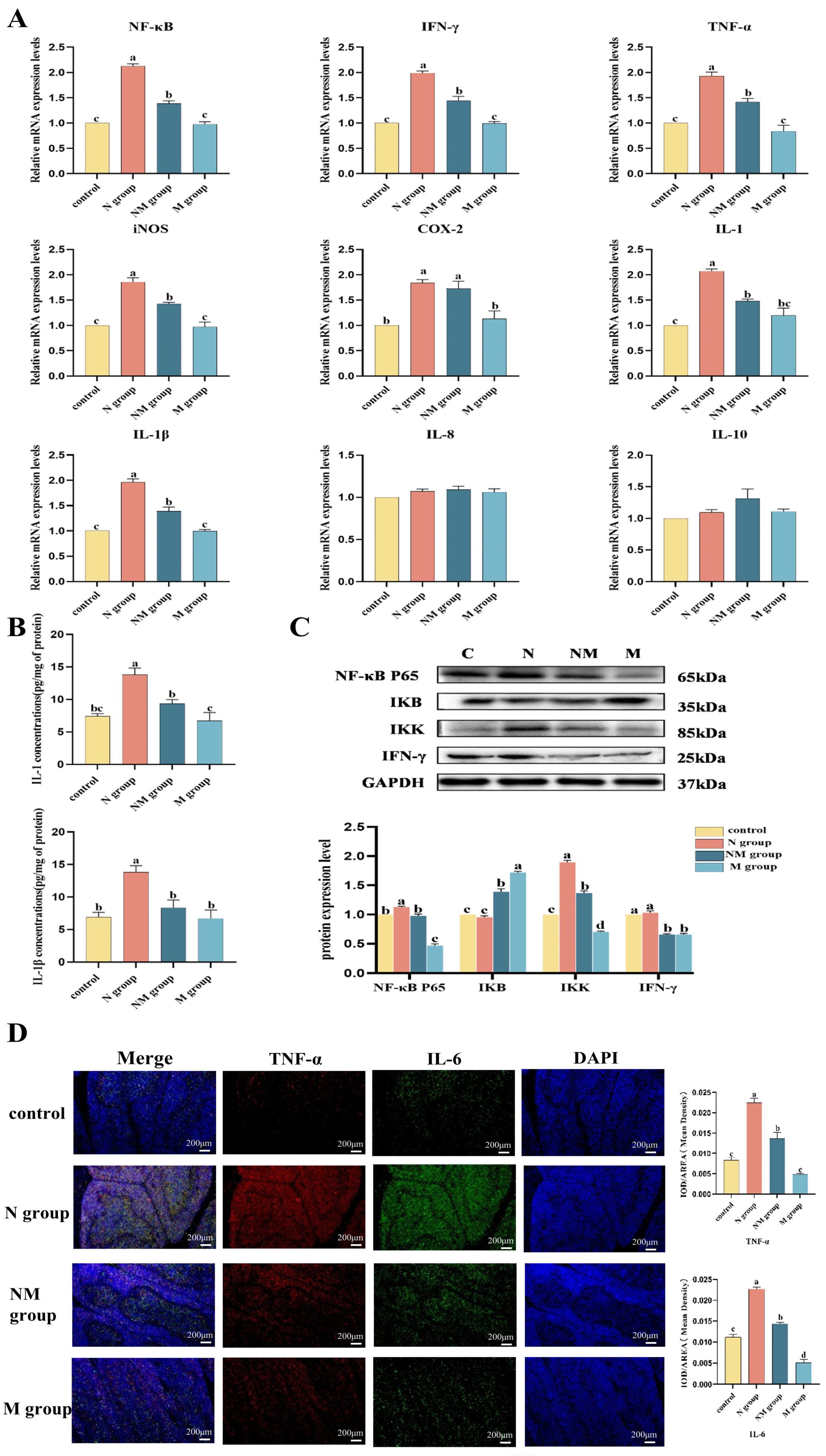 Agriculture 16 00078 g004