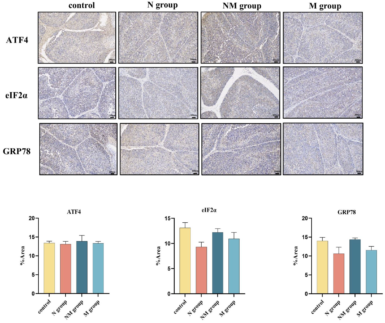 Agriculture 16 00078 g006