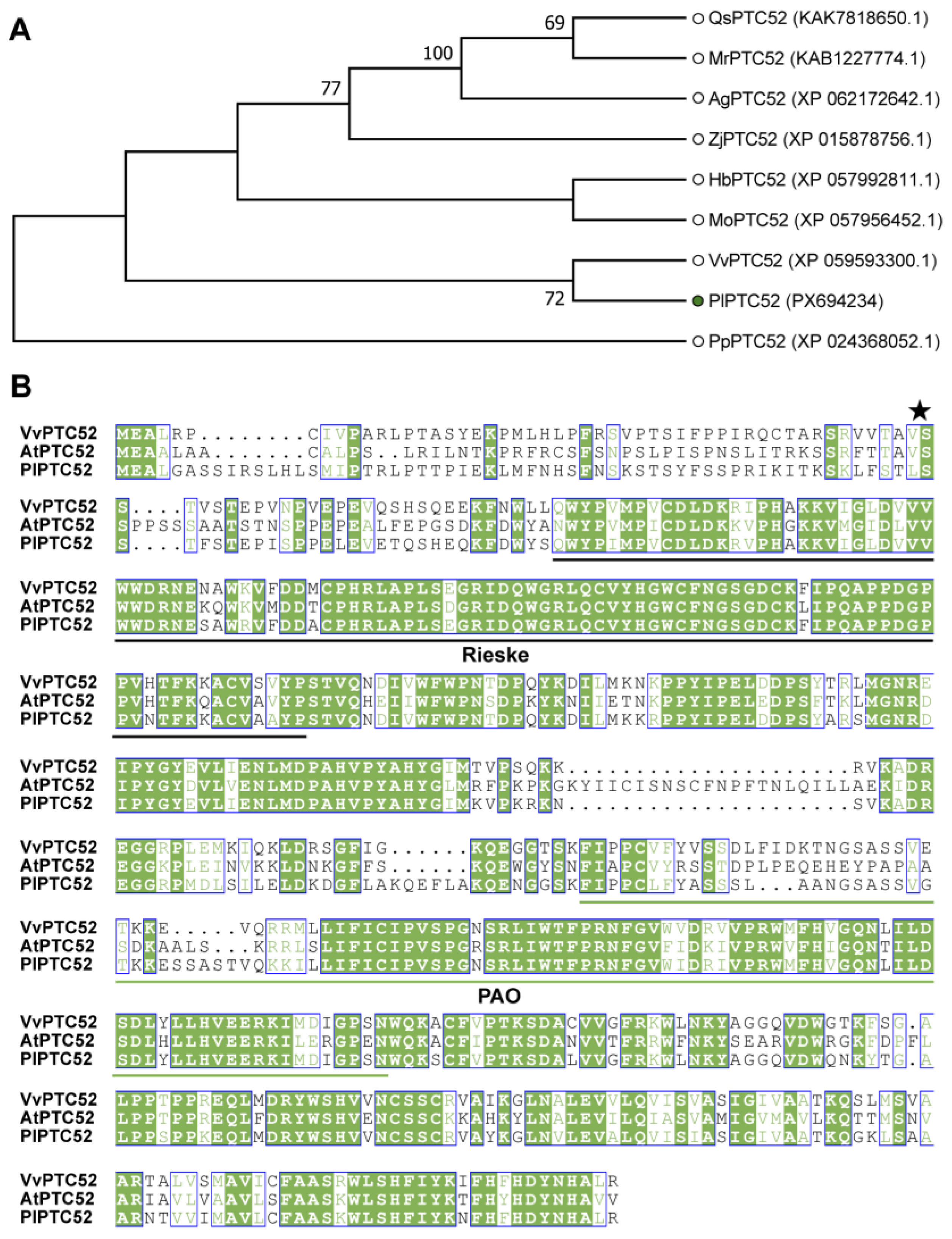 Agriculture 16 00082 g001 Agriculture 16 00082 g001