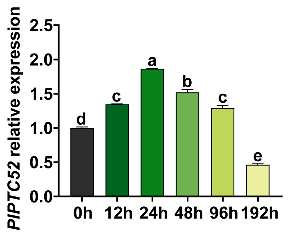 Agriculture 16 00082 g002 Agriculture 16 00082 g002
