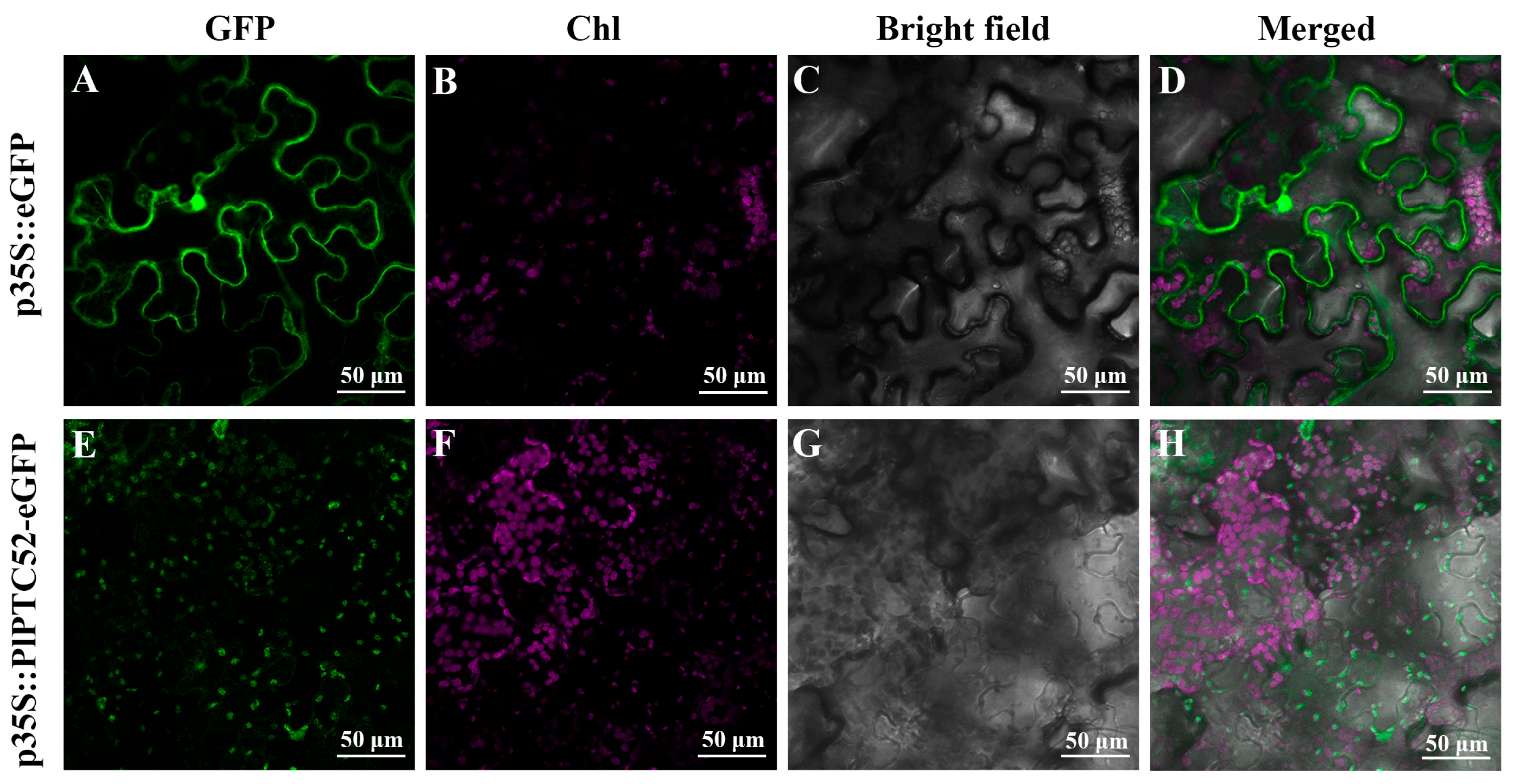 Agriculture 16 00082 g003 Agriculture 16 00082 g003