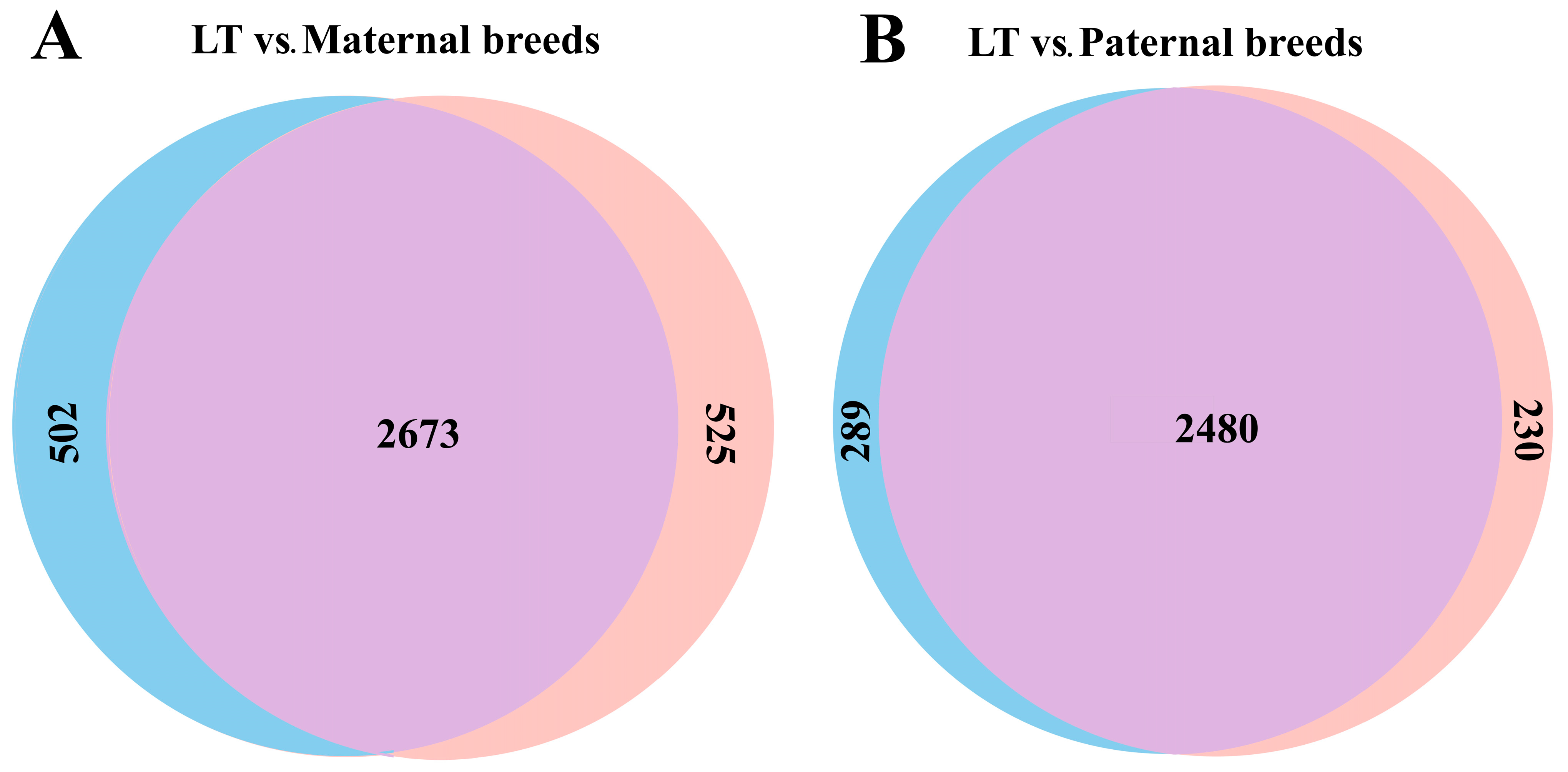 Agriculture 16 00086 g001