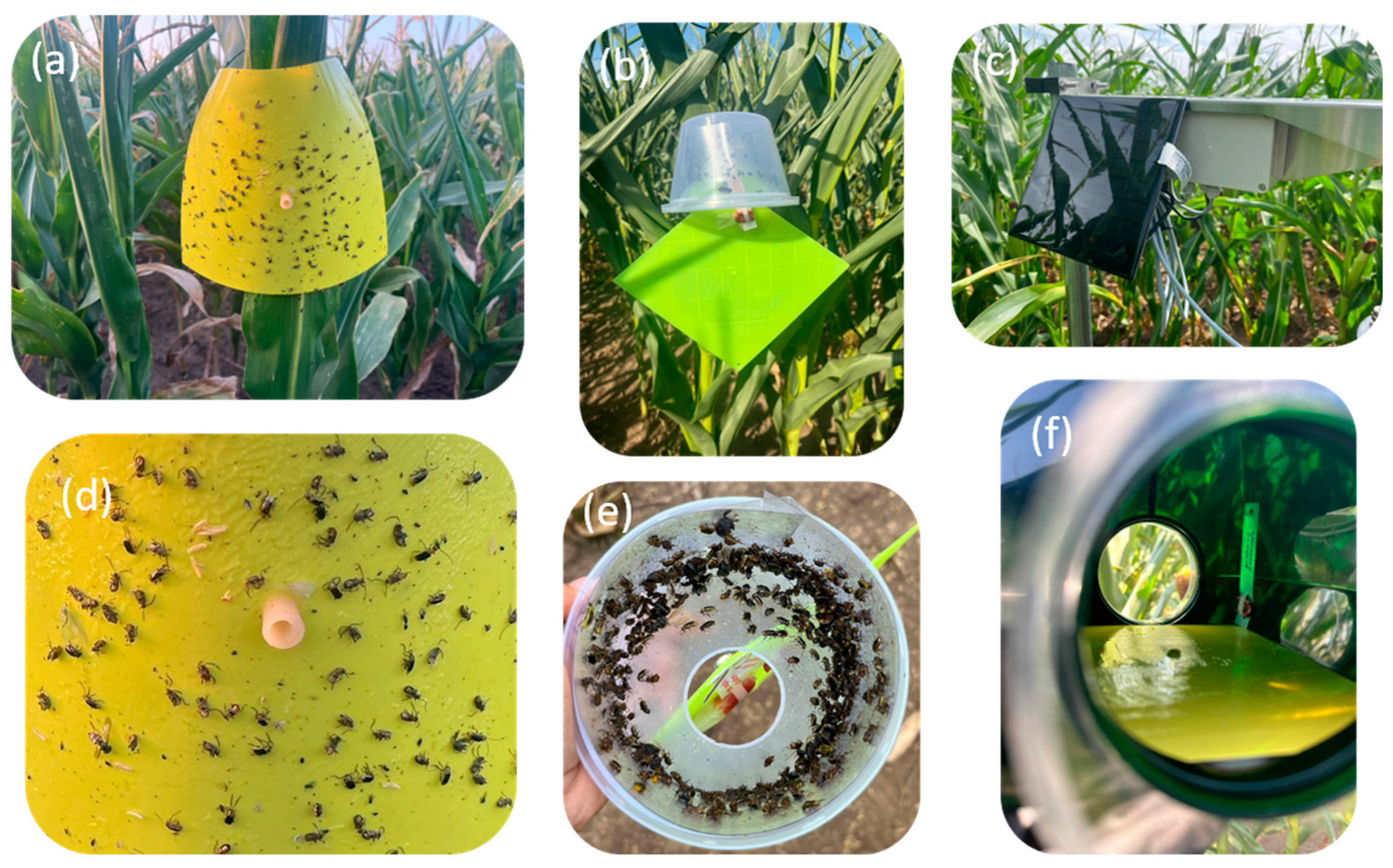 Agriculture 16 00096 g001