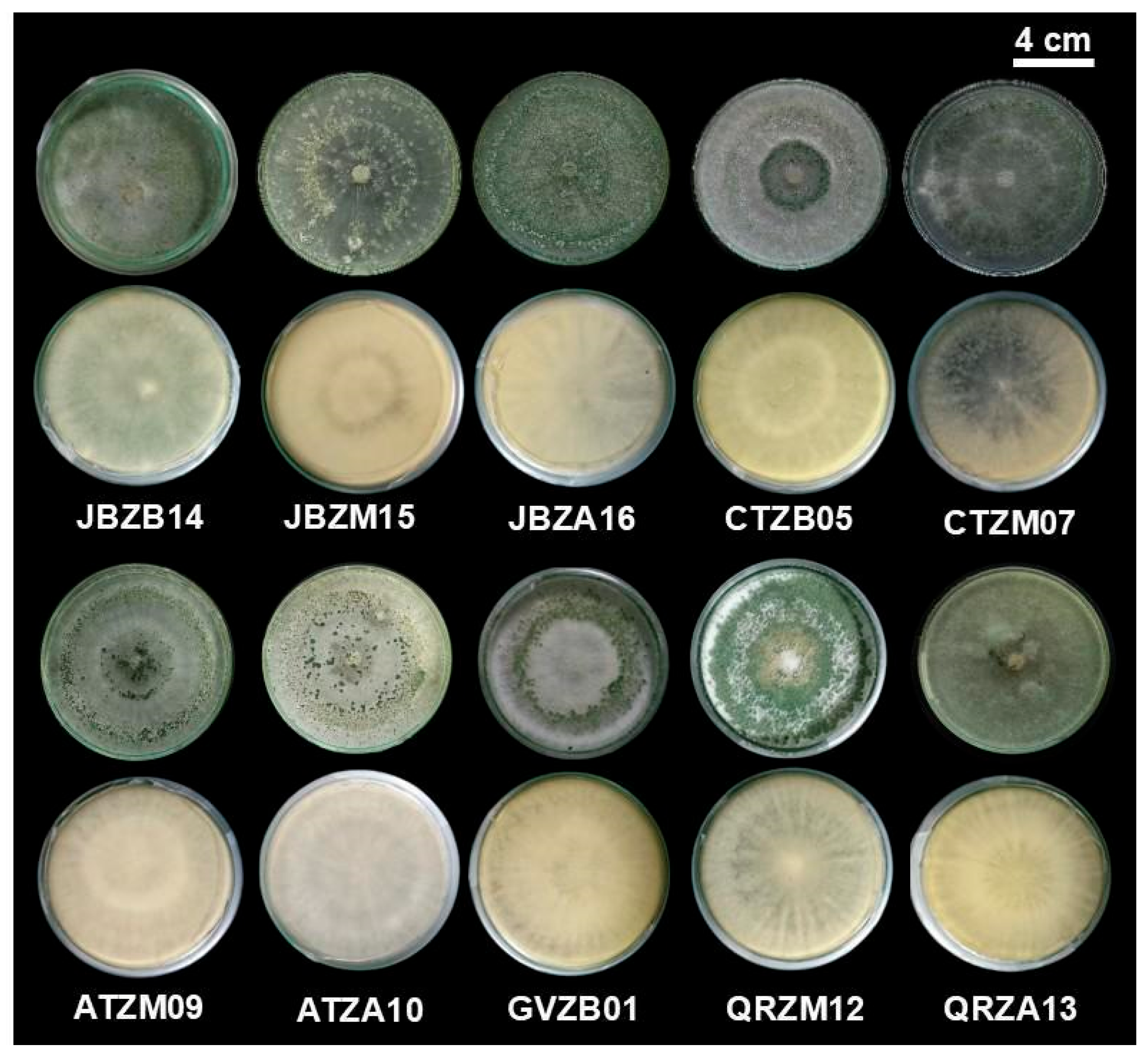 Agriculture 16 00112 g002