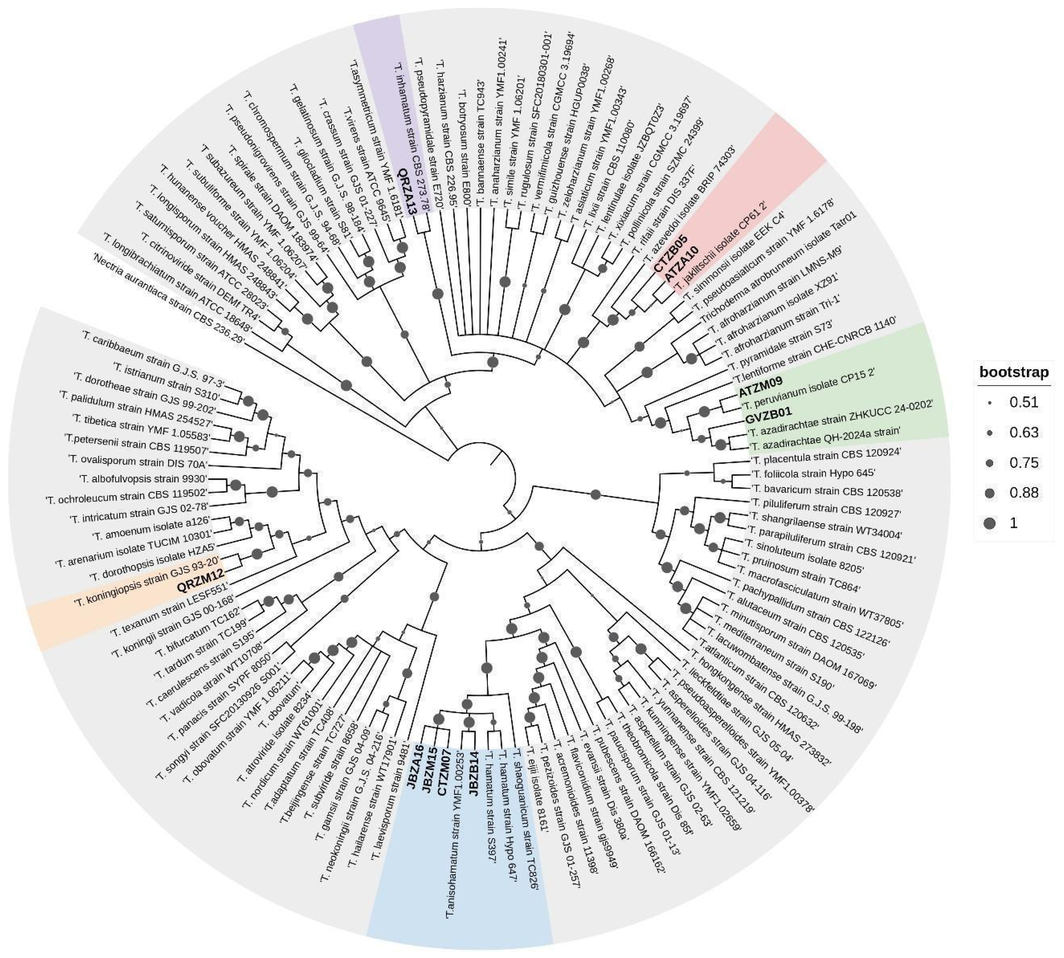 Agriculture 16 00112 g004