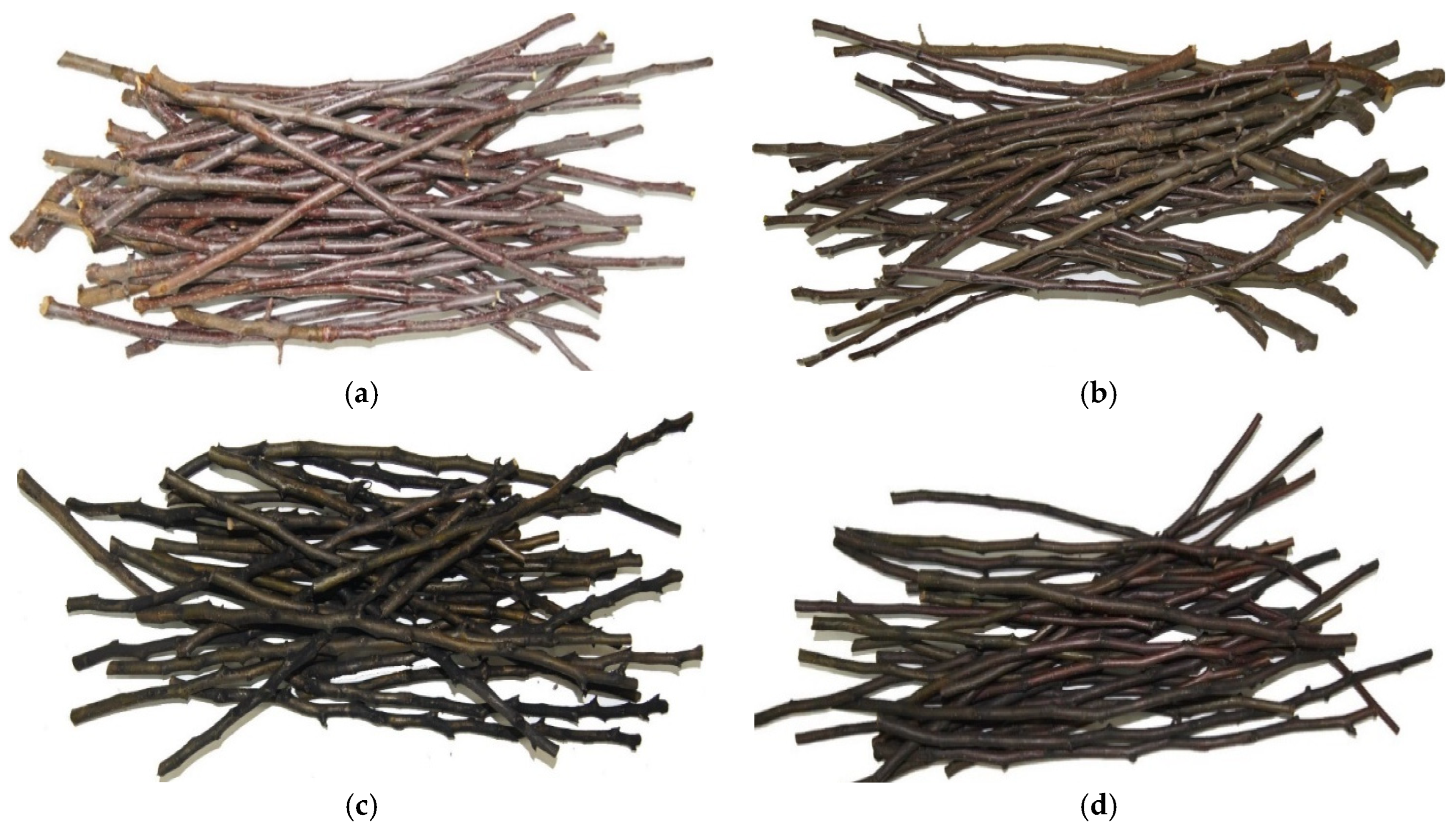 Agriculture 16 00115 g001 Agriculture 16 00115 g001