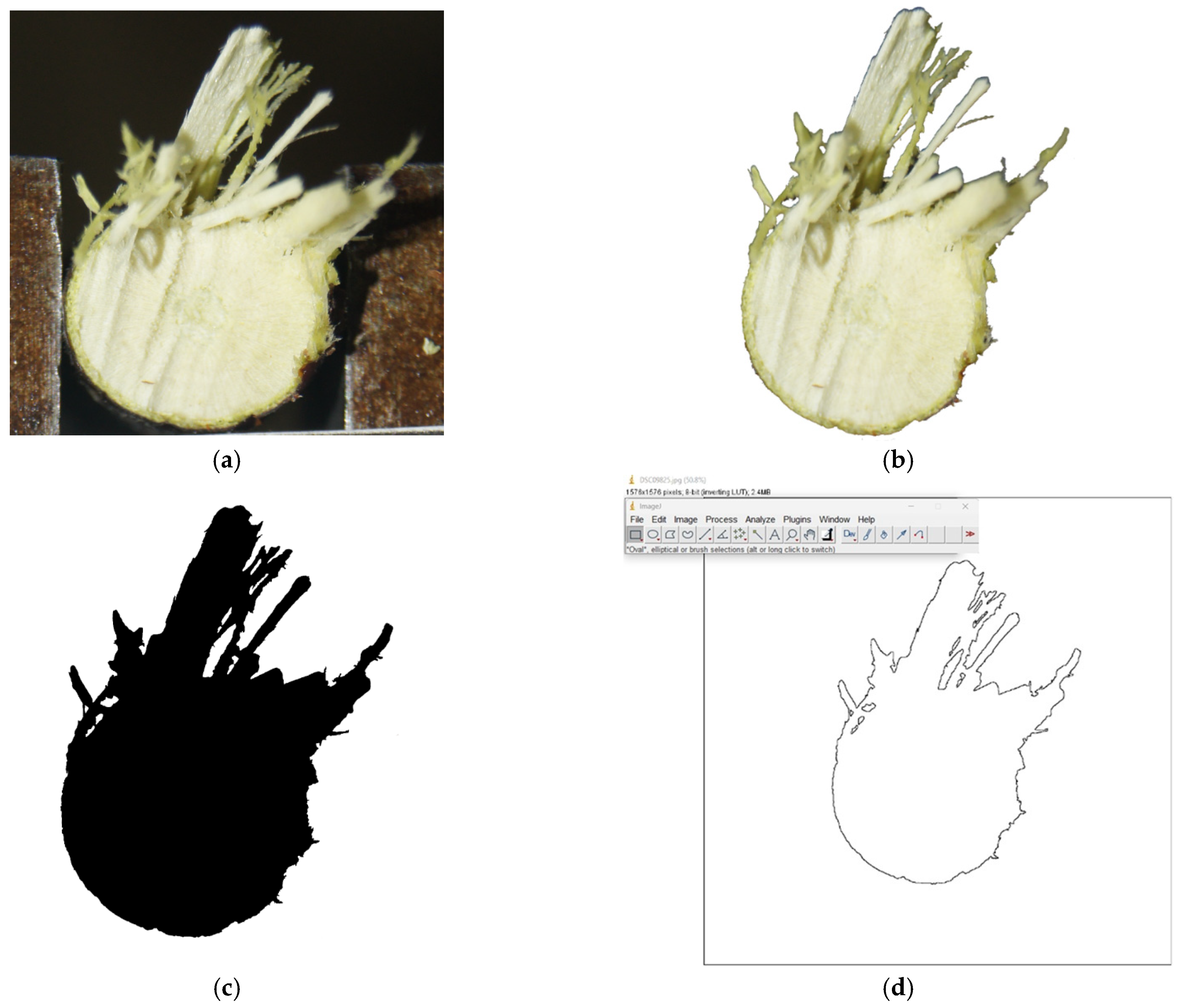 Agriculture 16 00115 g003 Agriculture 16 00115 g003