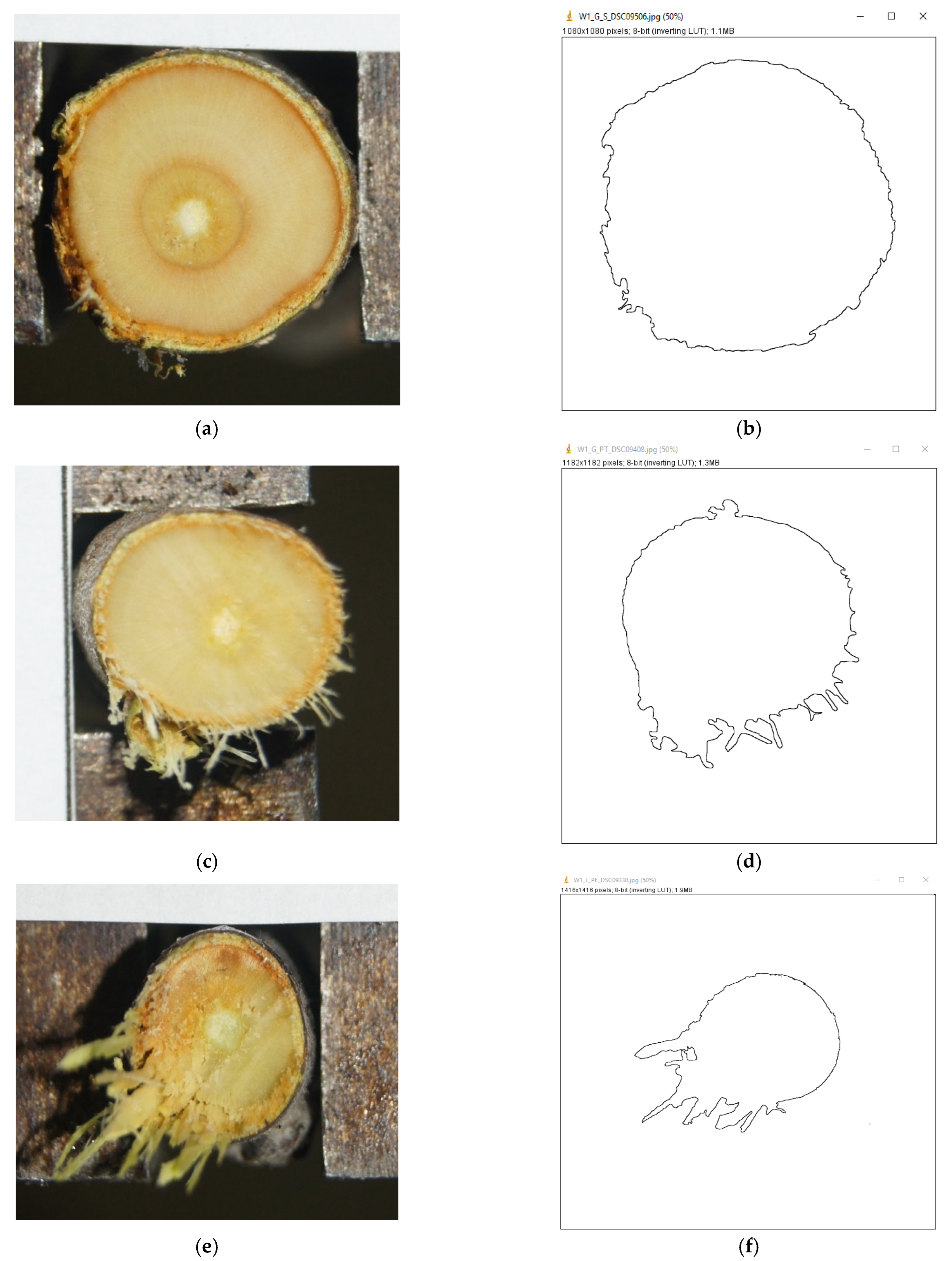 Agriculture 16 00115 g006 Agriculture 16 00115 g006