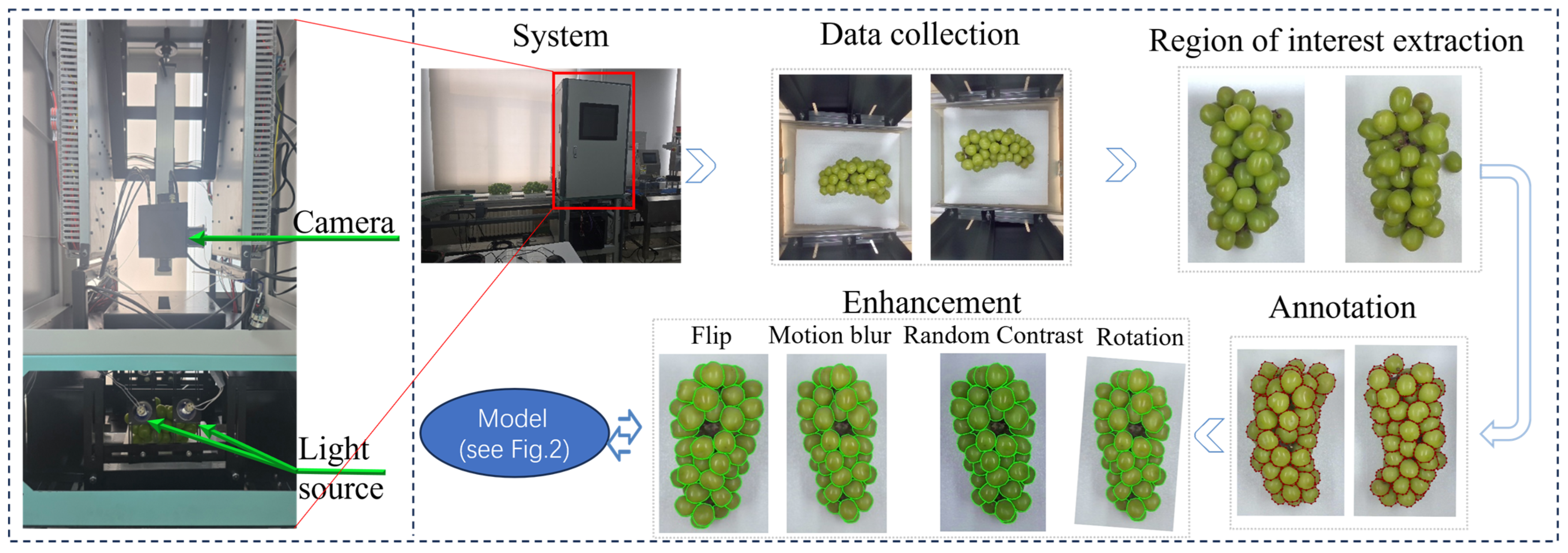 Agriculture 16 00121 g001