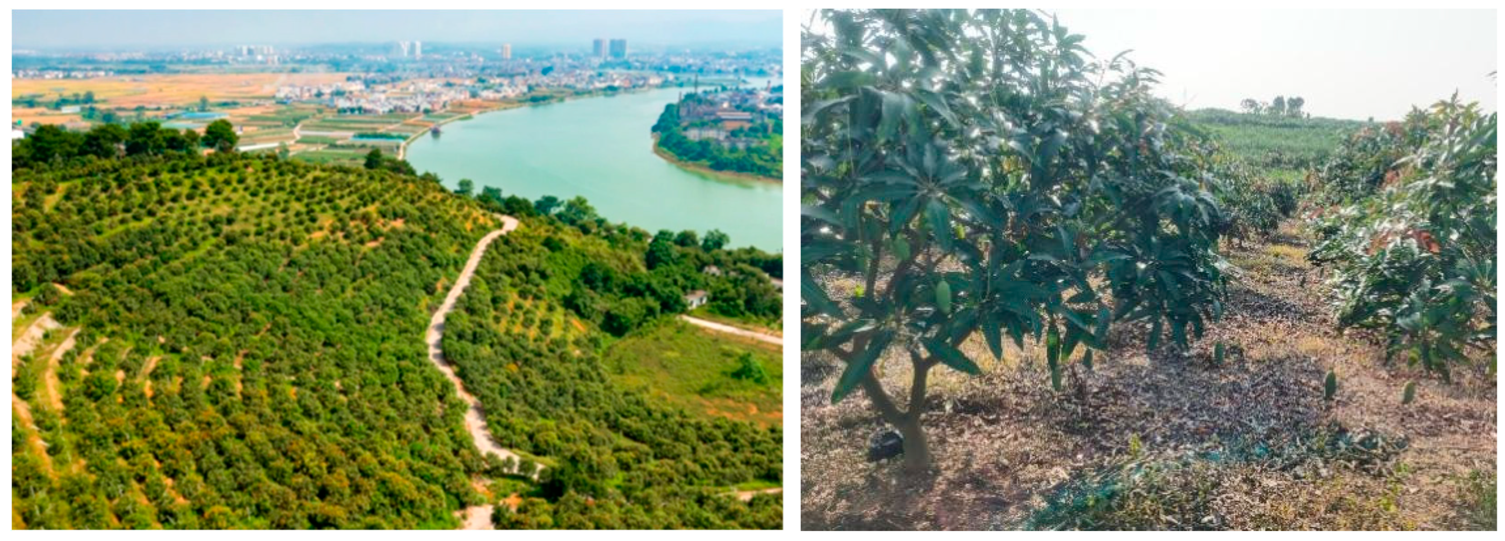 Agriculture 16 00132 g001