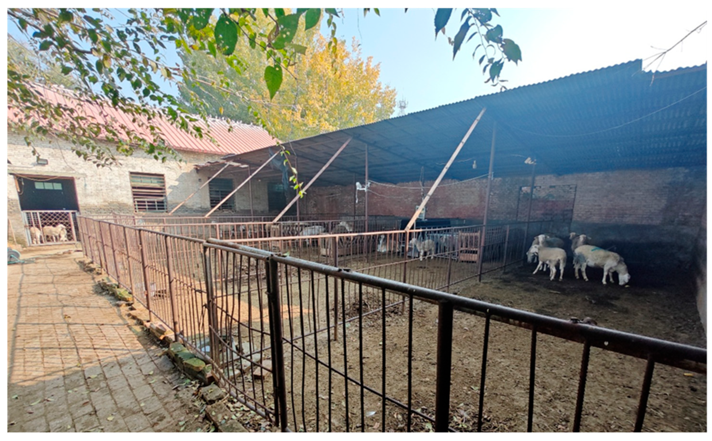 Agriculture 16 00151 g002 Agriculture 16 00151 g002