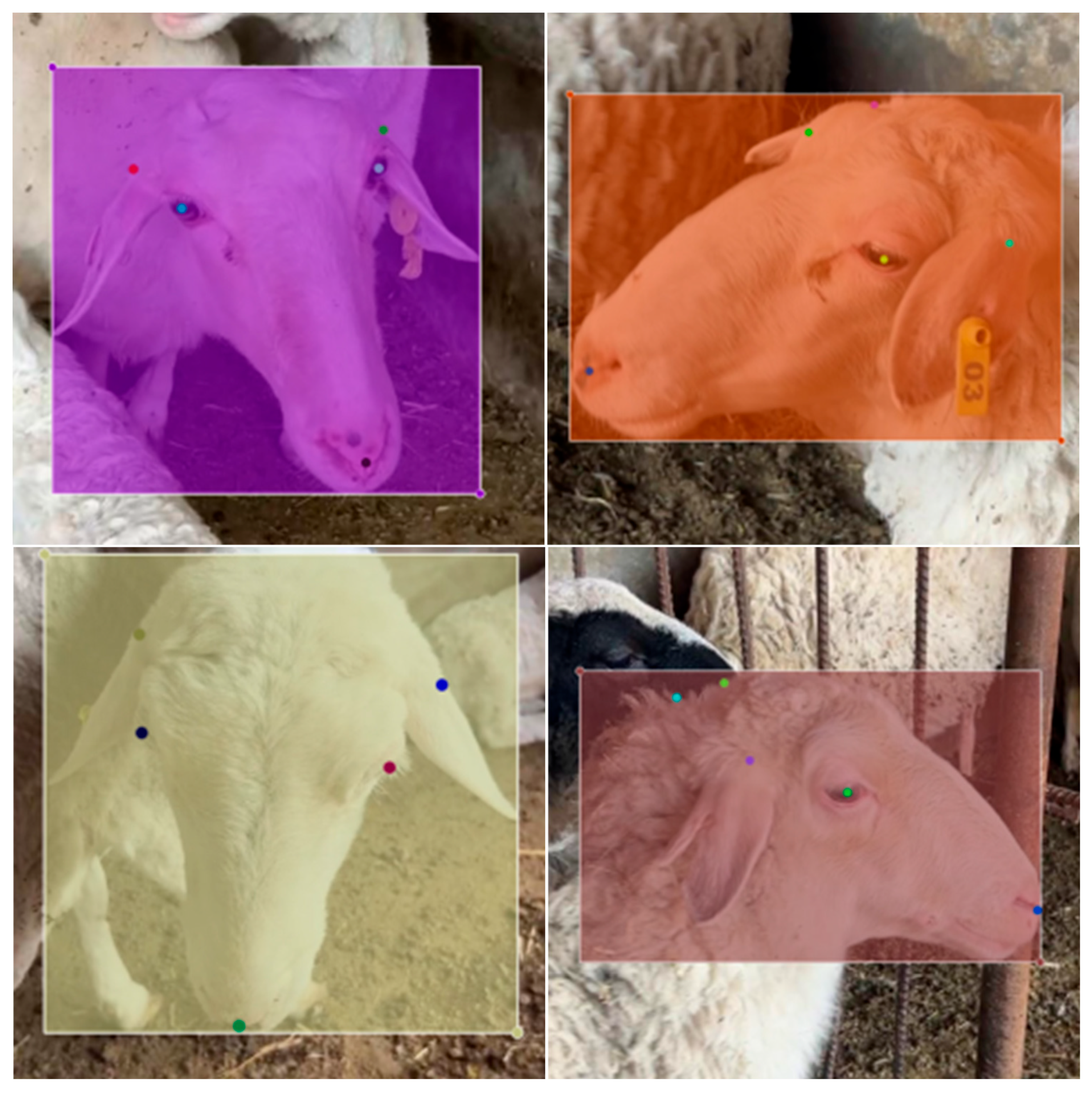 Agriculture 16 00151 g003 Agriculture 16 00151 g003