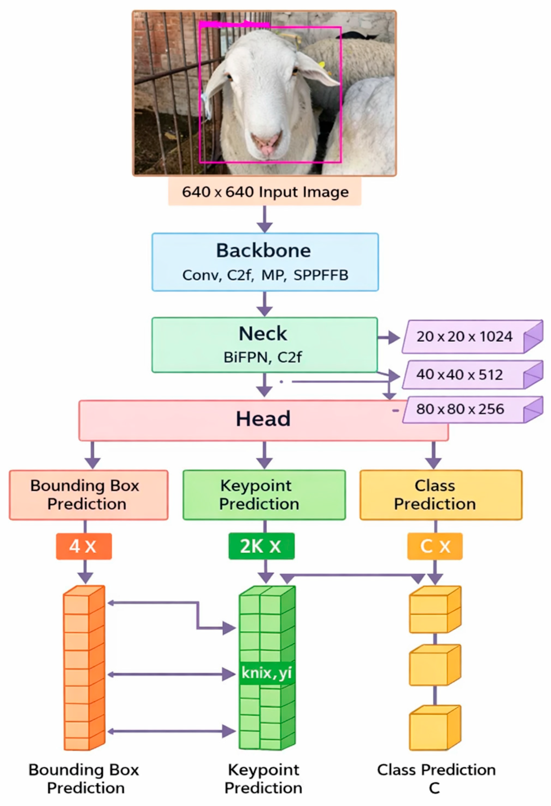 Agriculture 16 00151 g004 Agriculture 16 00151 g004
