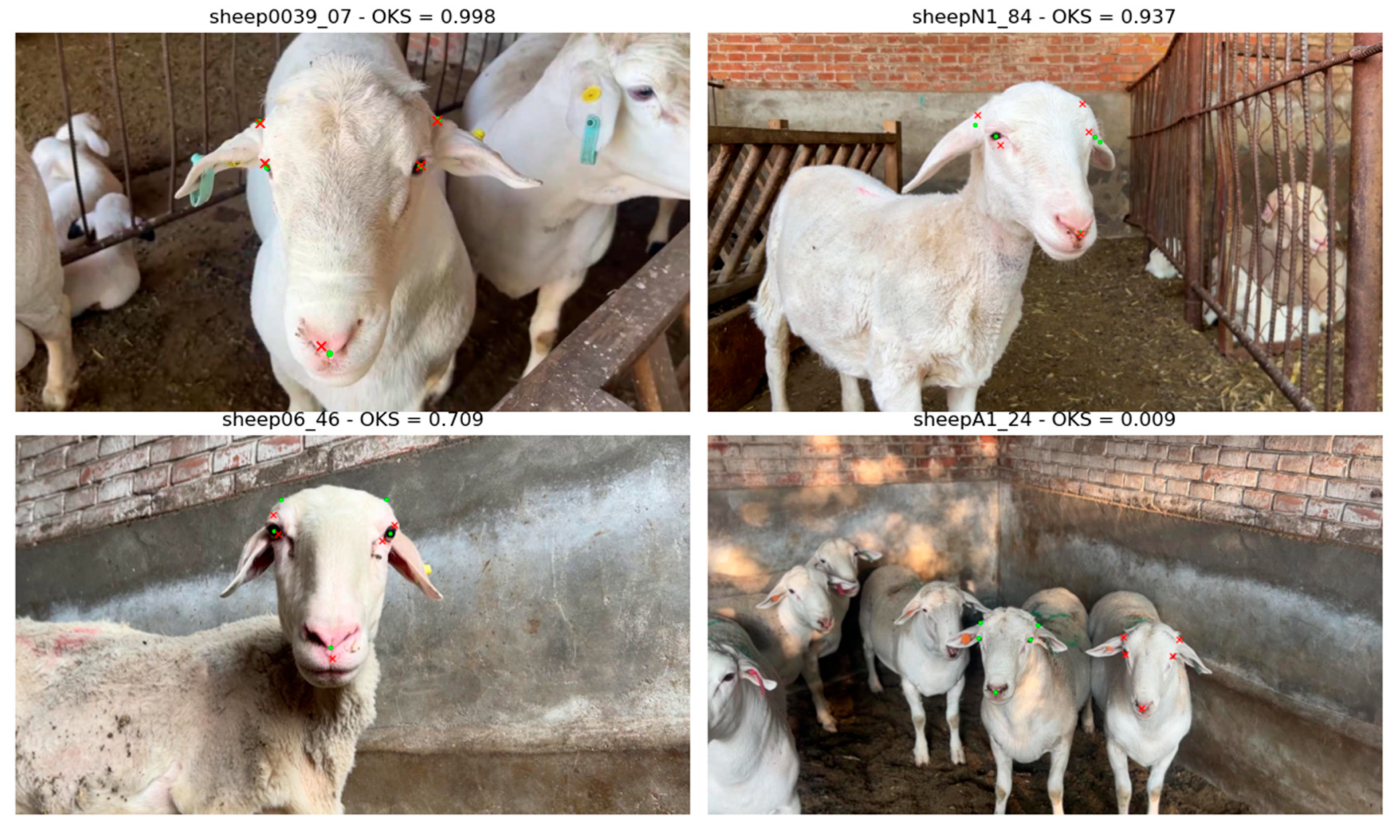 Agriculture 16 00151 g009 Agriculture 16 00151 g009