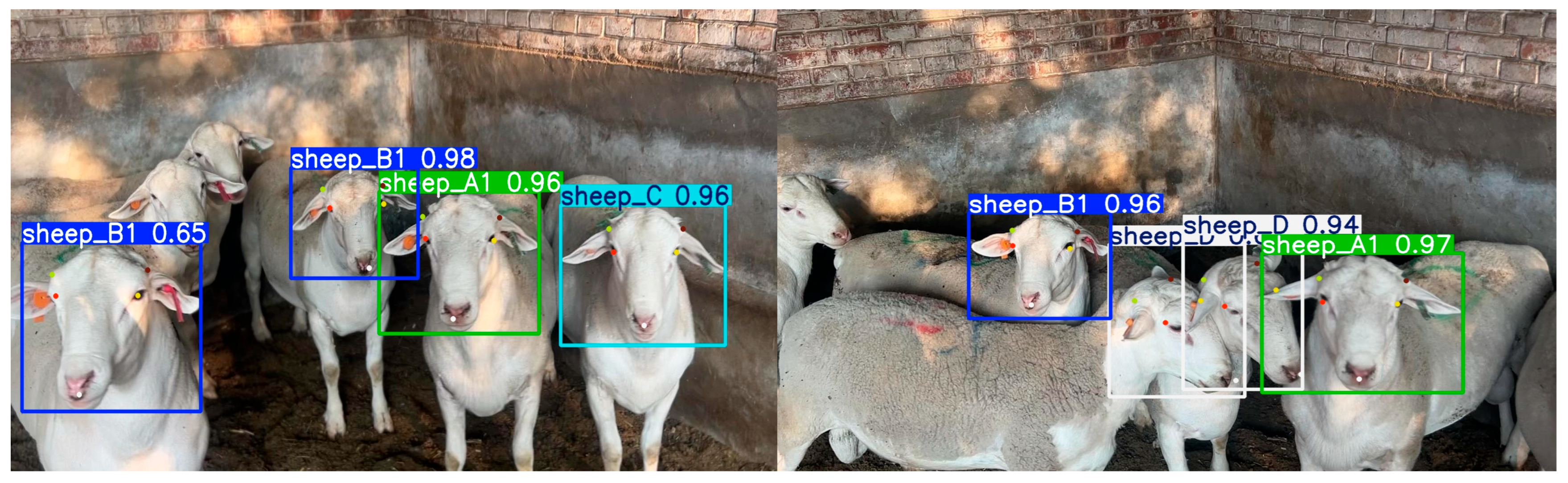 Agriculture 16 00151 g013 Agriculture 16 00151 g013