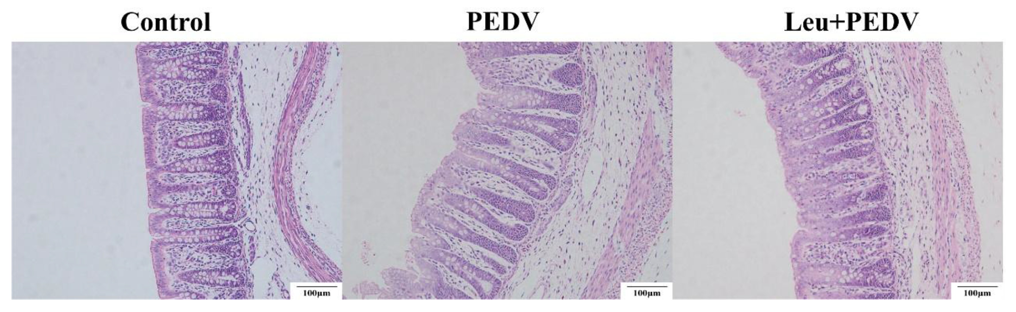 Agriculture 16 00161 g001