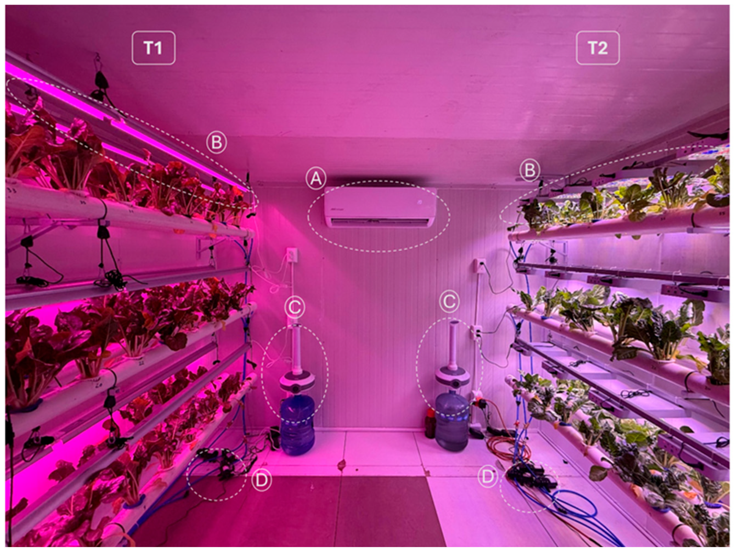 Agriculture 16 00165 g005