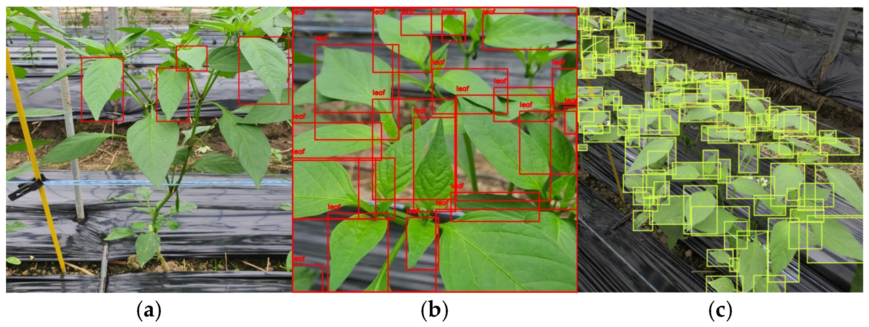 Agriculture 16 00223 g005