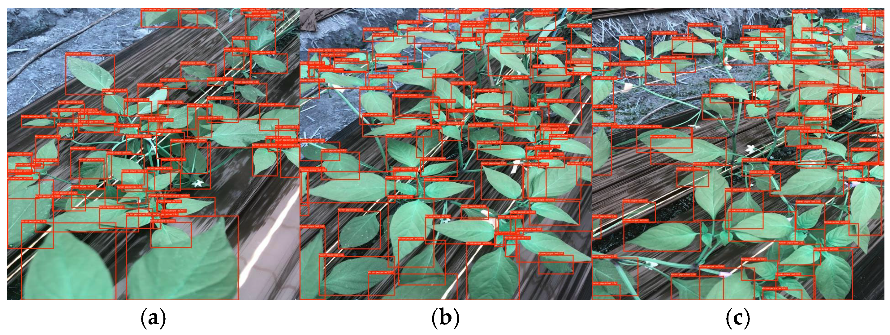 Agriculture 16 00223 g006