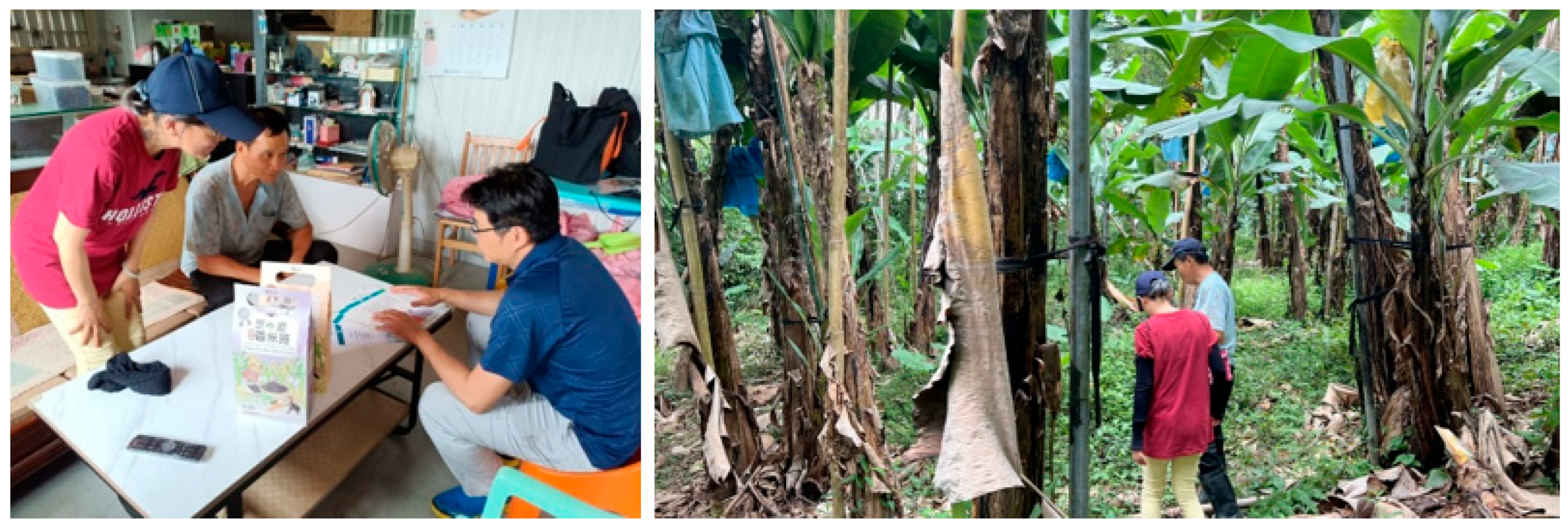 Agriculture 16 00224 g002 Agriculture 16 00224 g002