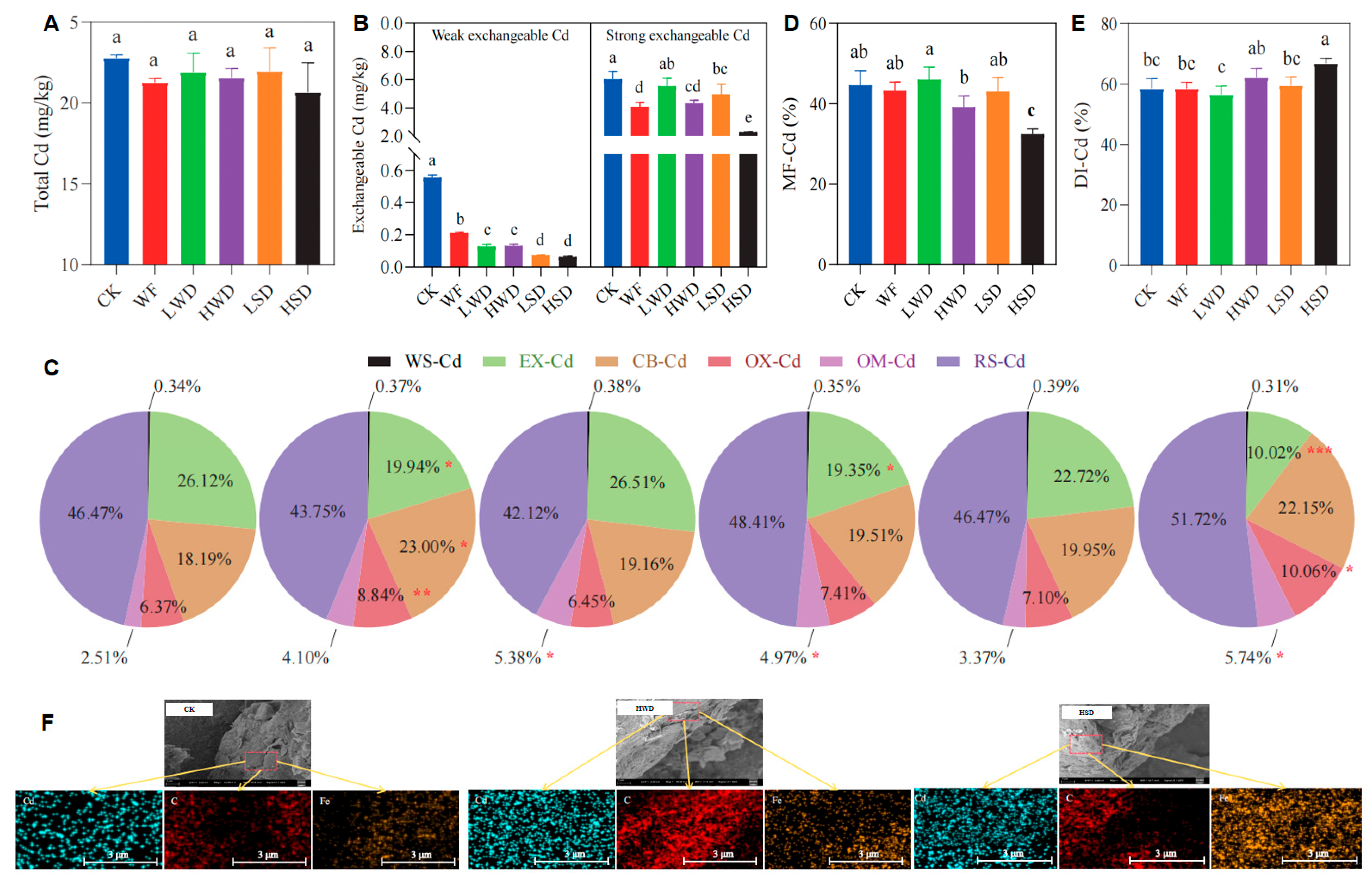 Agriculture 16 00242 g001