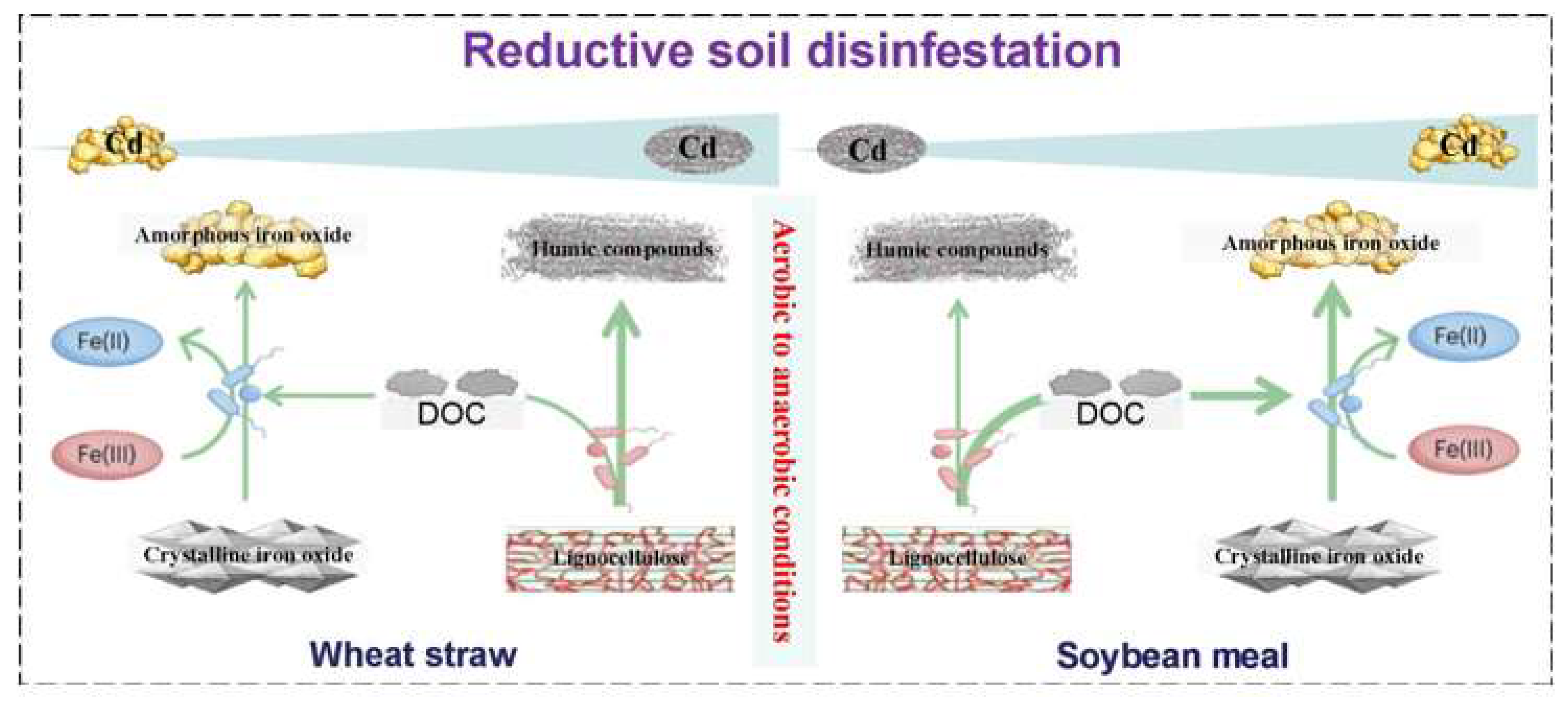 Agriculture 16 00242 g007