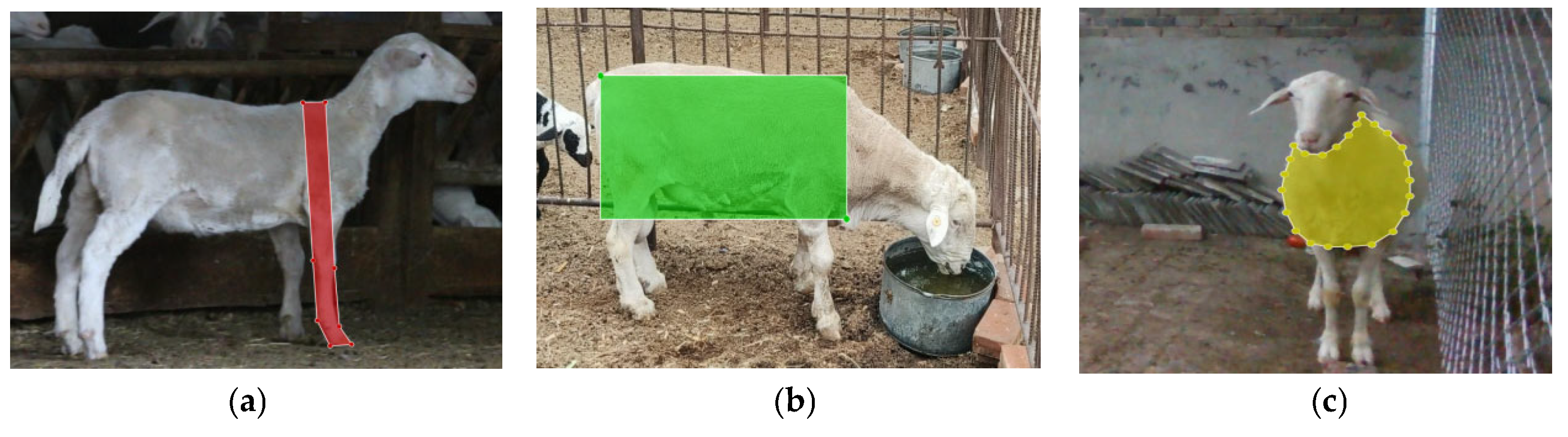 Agriculture 16 00272 g003