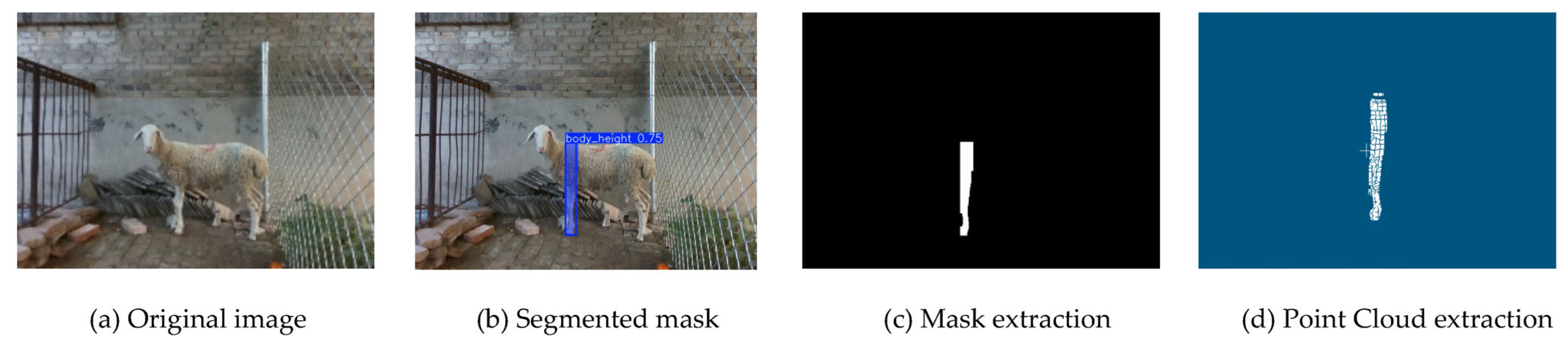 Agriculture 16 00272 g007