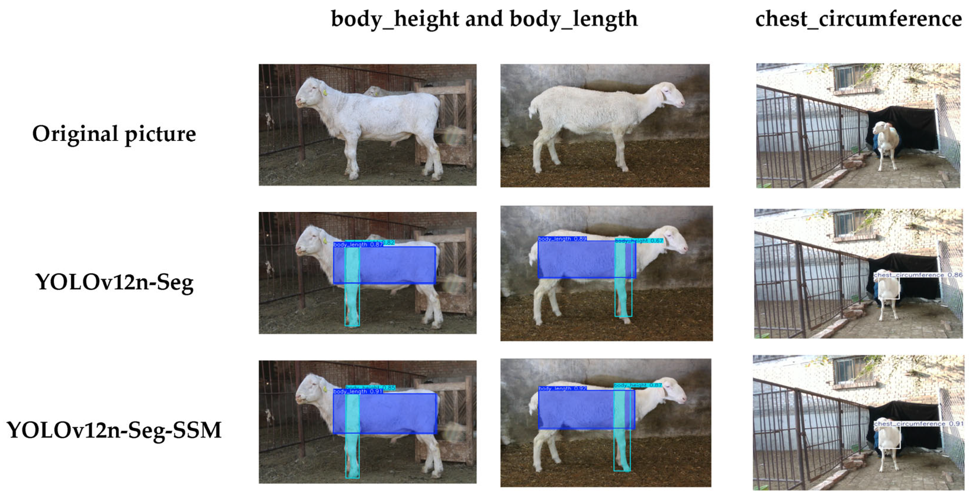 Agriculture 16 00272 g012