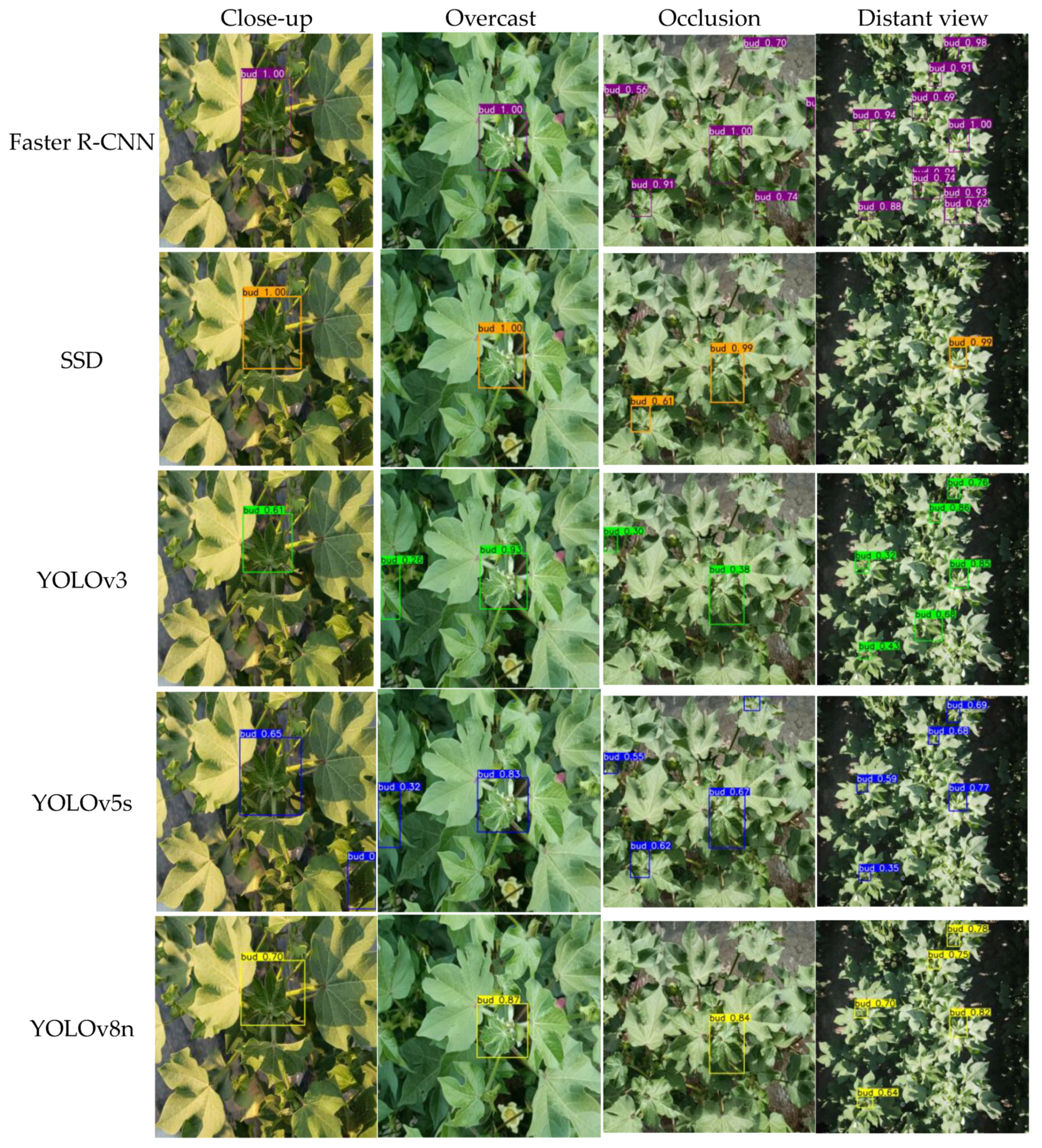 Agriculture 16 00350 g011a