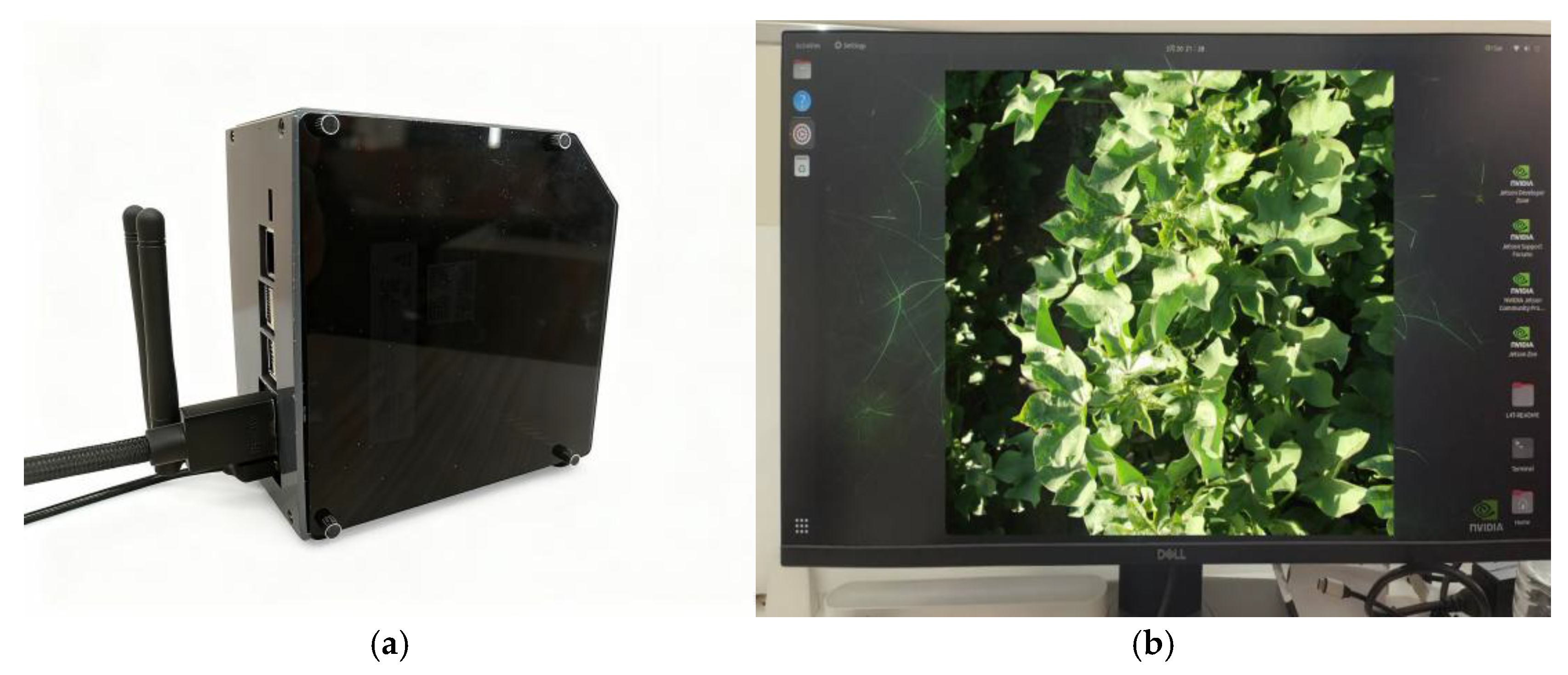 Agriculture 16 00350 g012