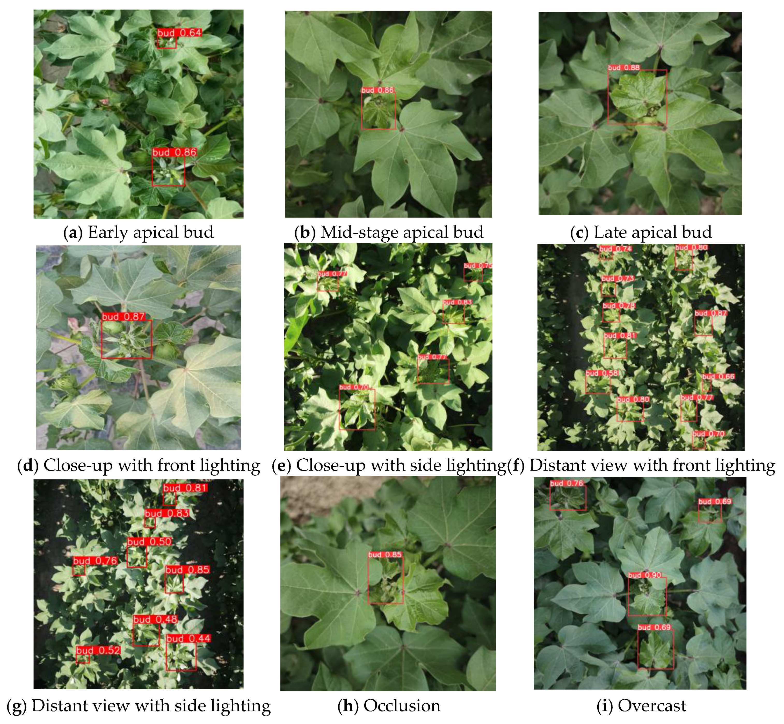 Agriculture 16 00350 g013