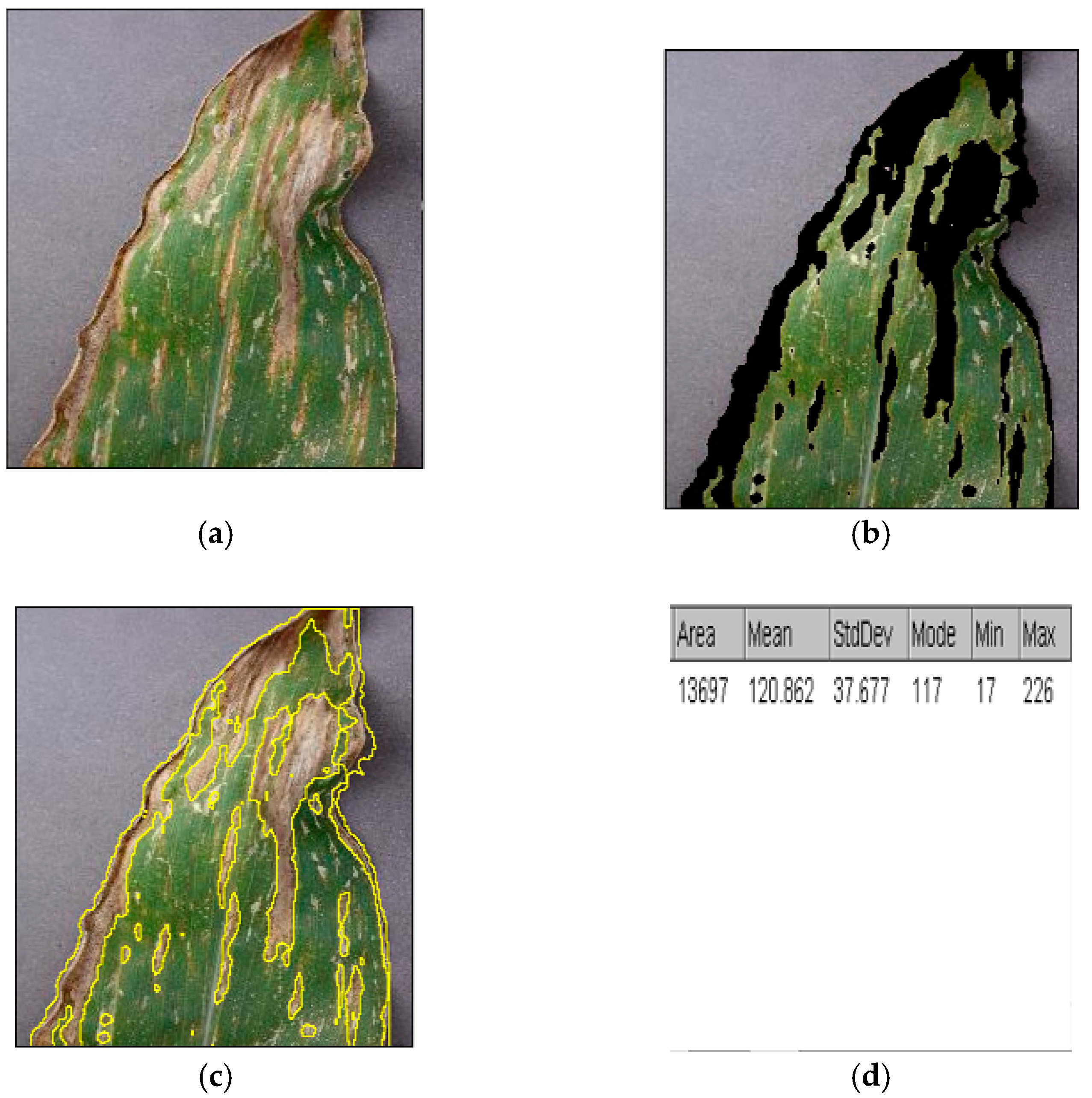 Agriengineering 01 00015 g003