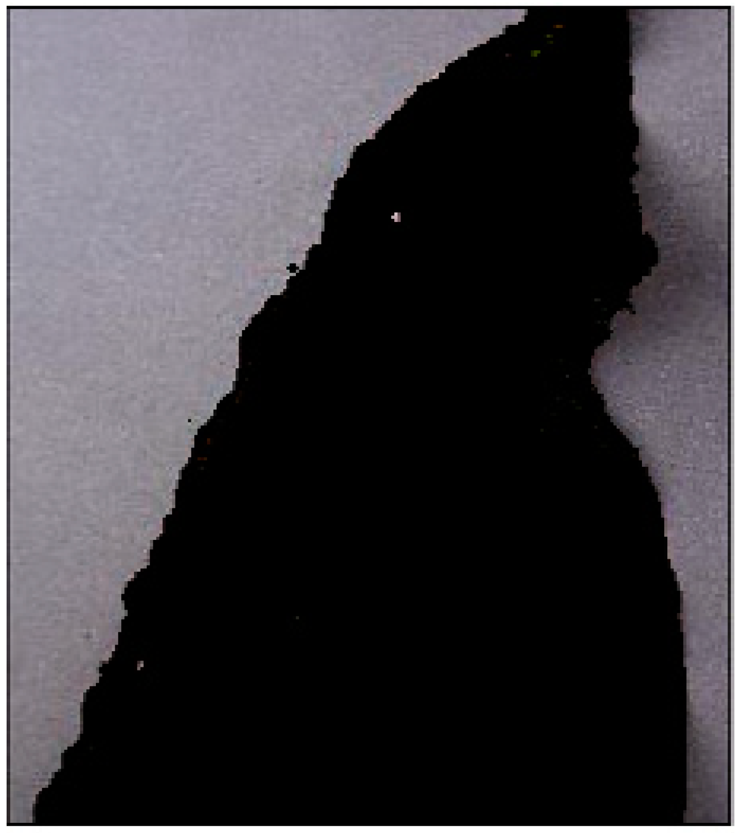 Agriengineering 01 00015 g004